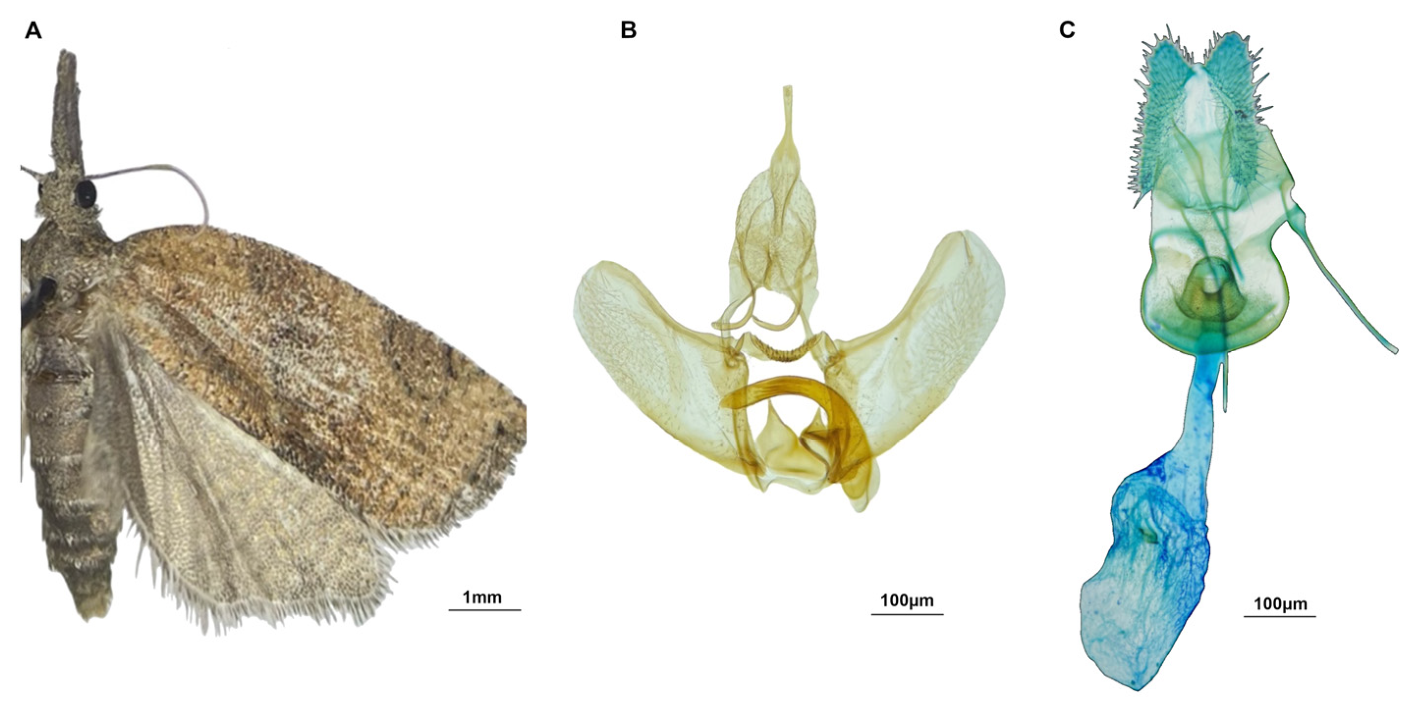 Insects 17 00122 g003