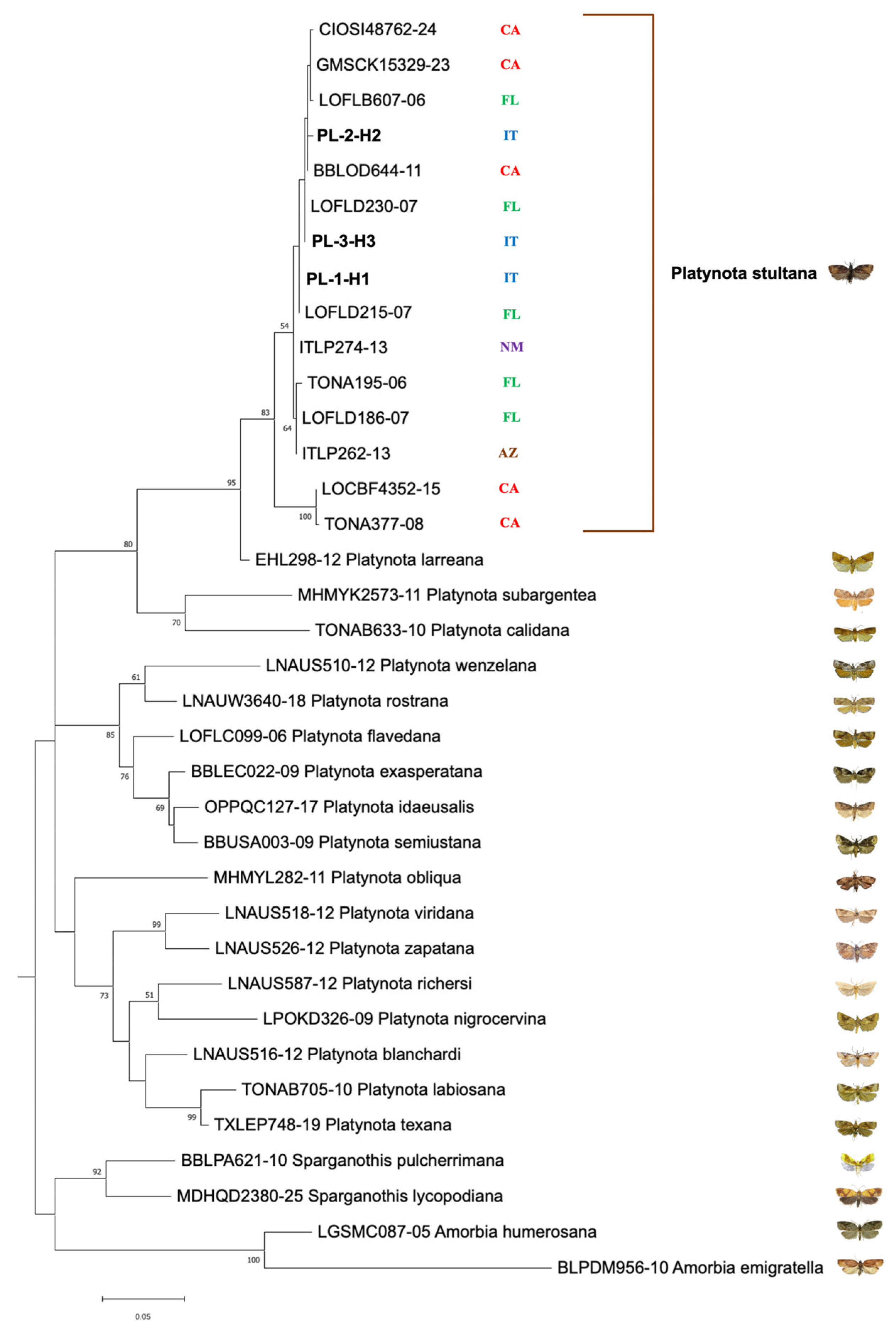 Insects 17 00122 g004