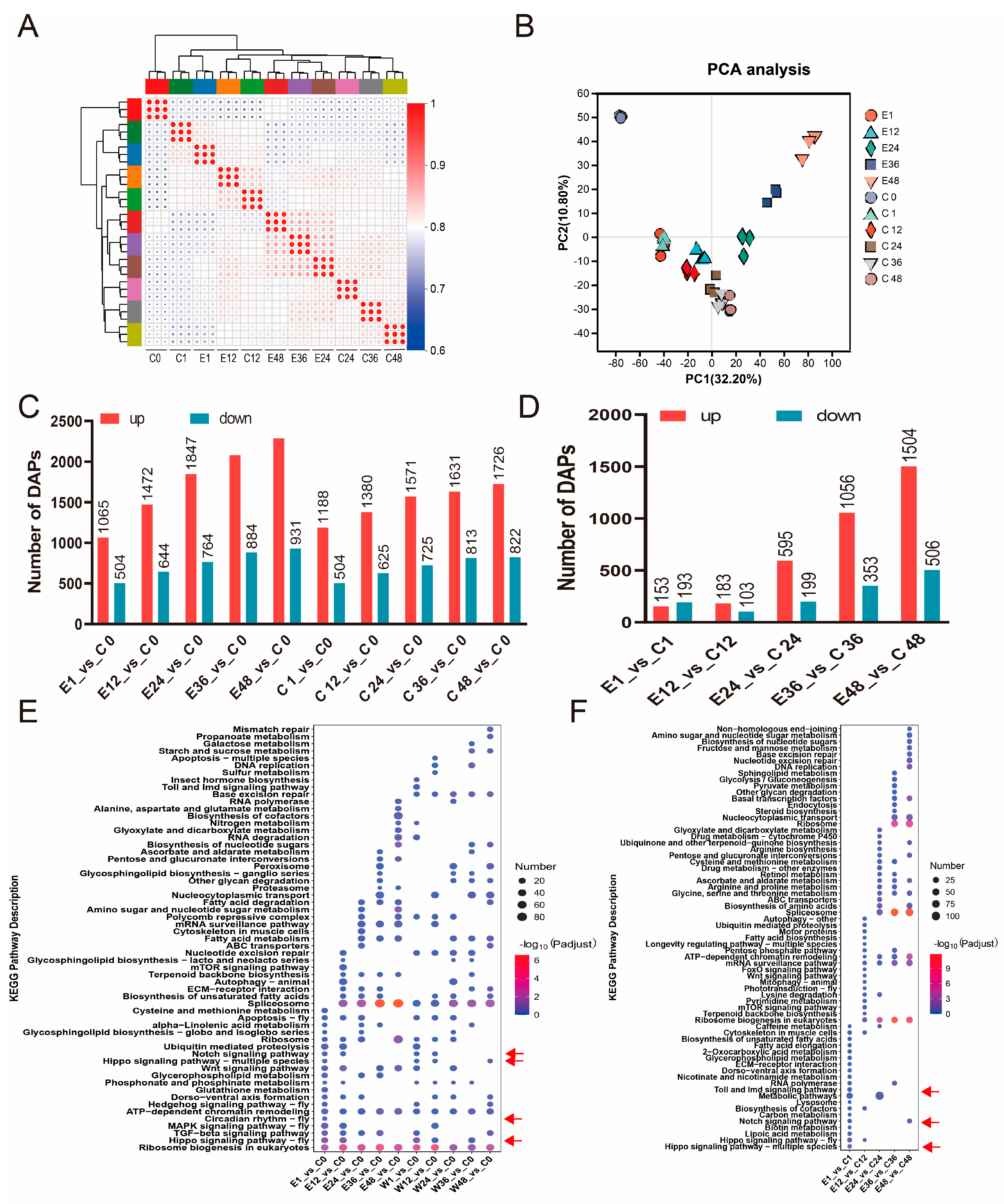 Insects 17 00123 g004 Insects 17 00123 g004