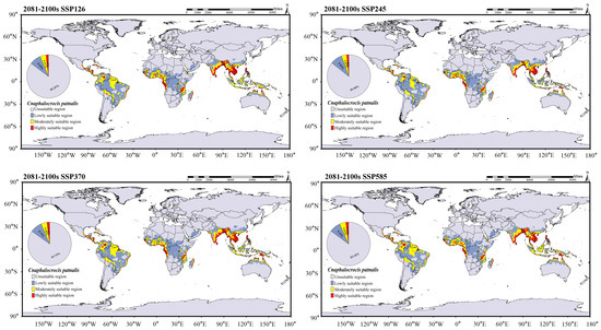 Integrating Morphological, Molecular, and Climatic Evidence to
