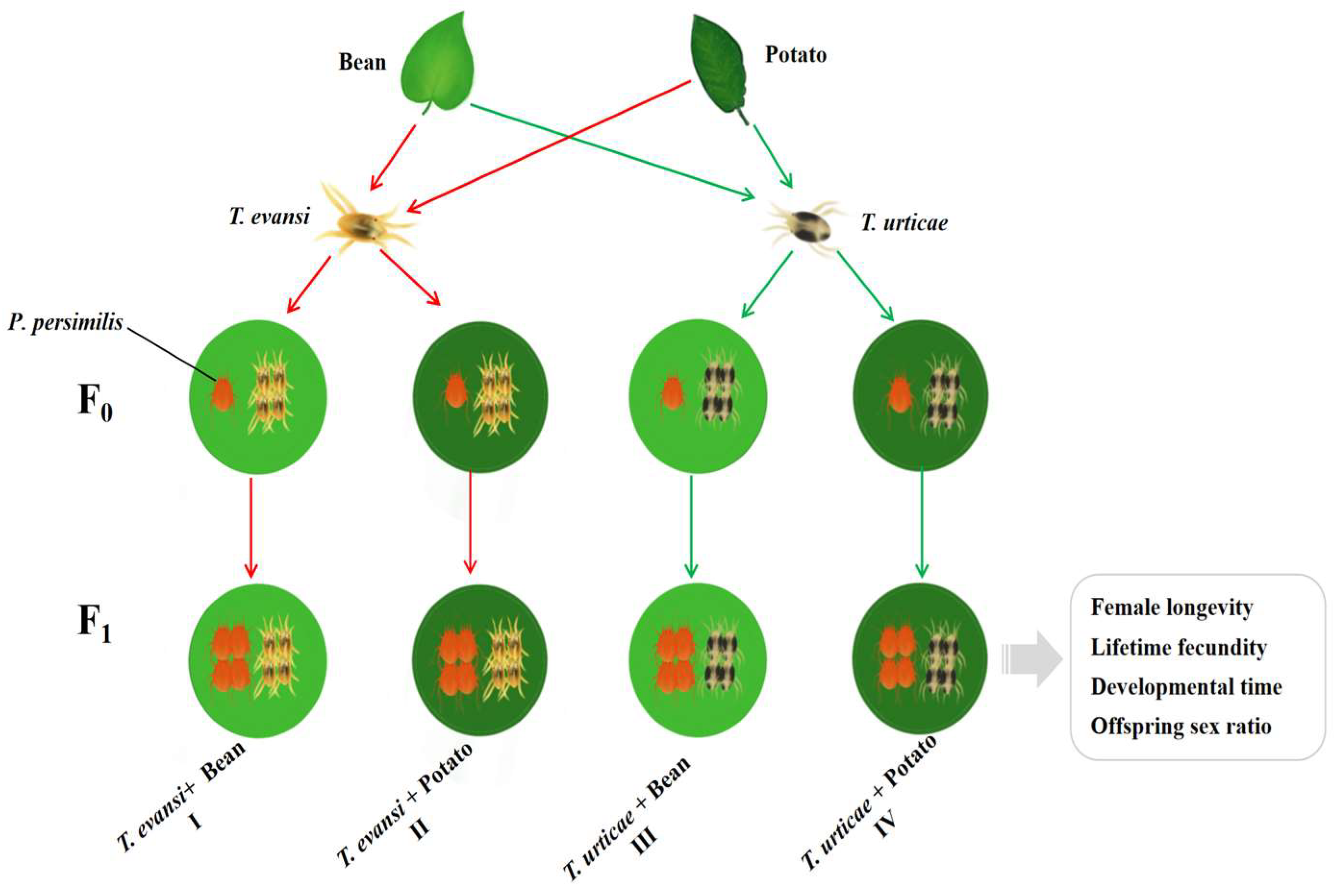 Insects 17 00133 g002