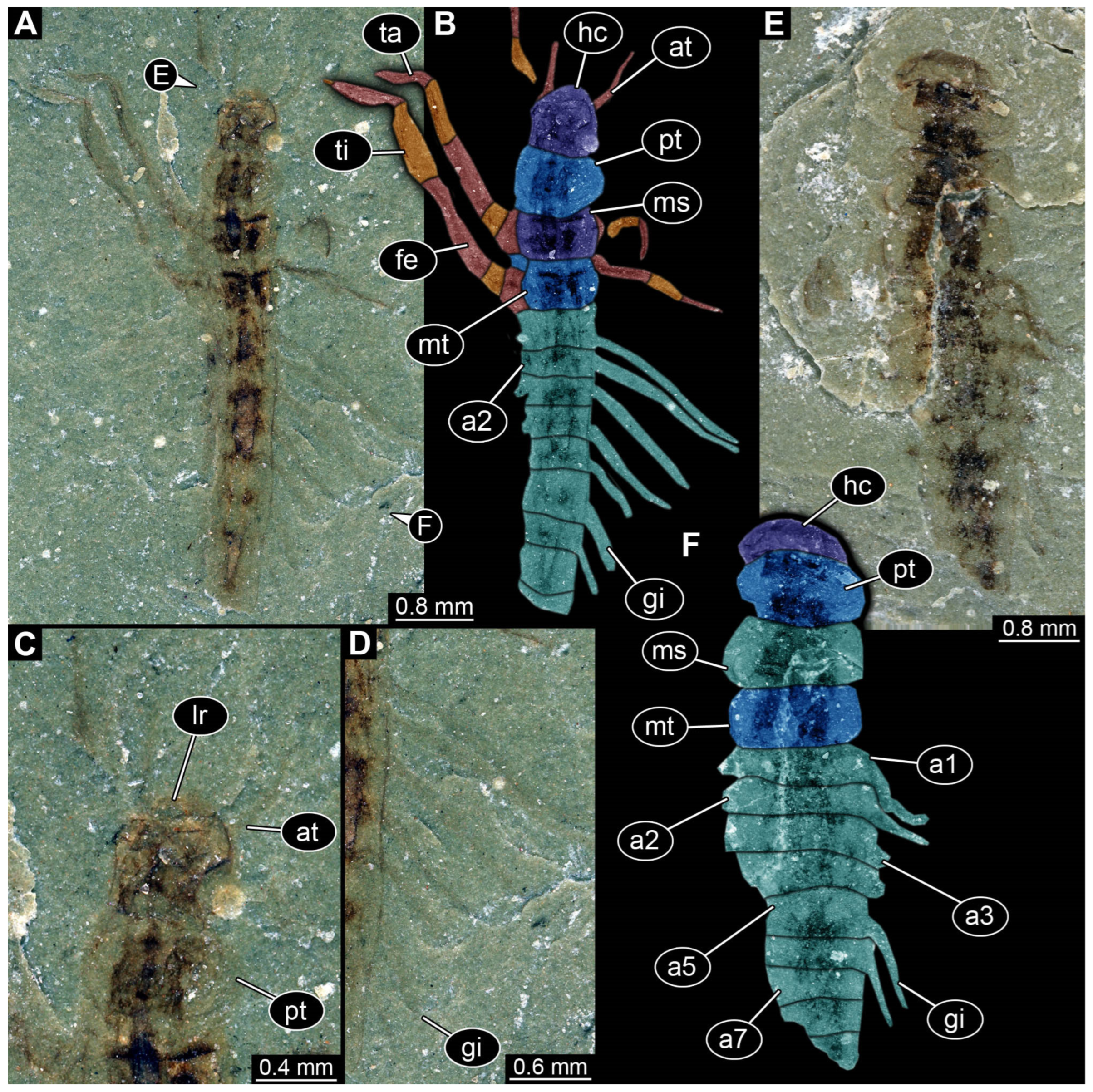 Insects 17 00197 g001