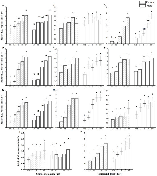 Characterization of Rice Volatile Secondary Metabolites and Their