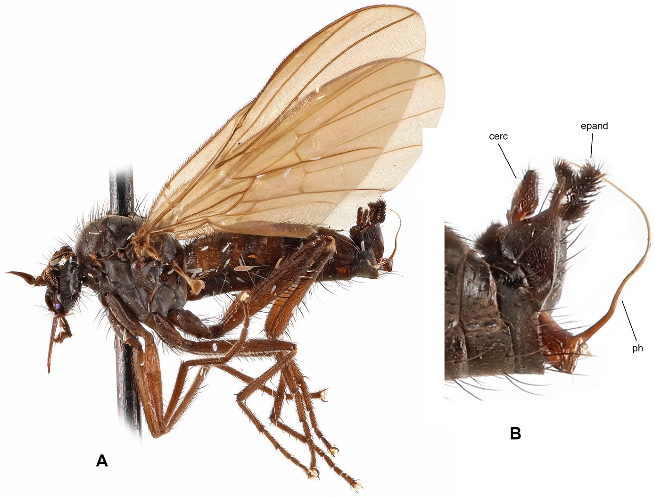 Insects 17 00363 g006
