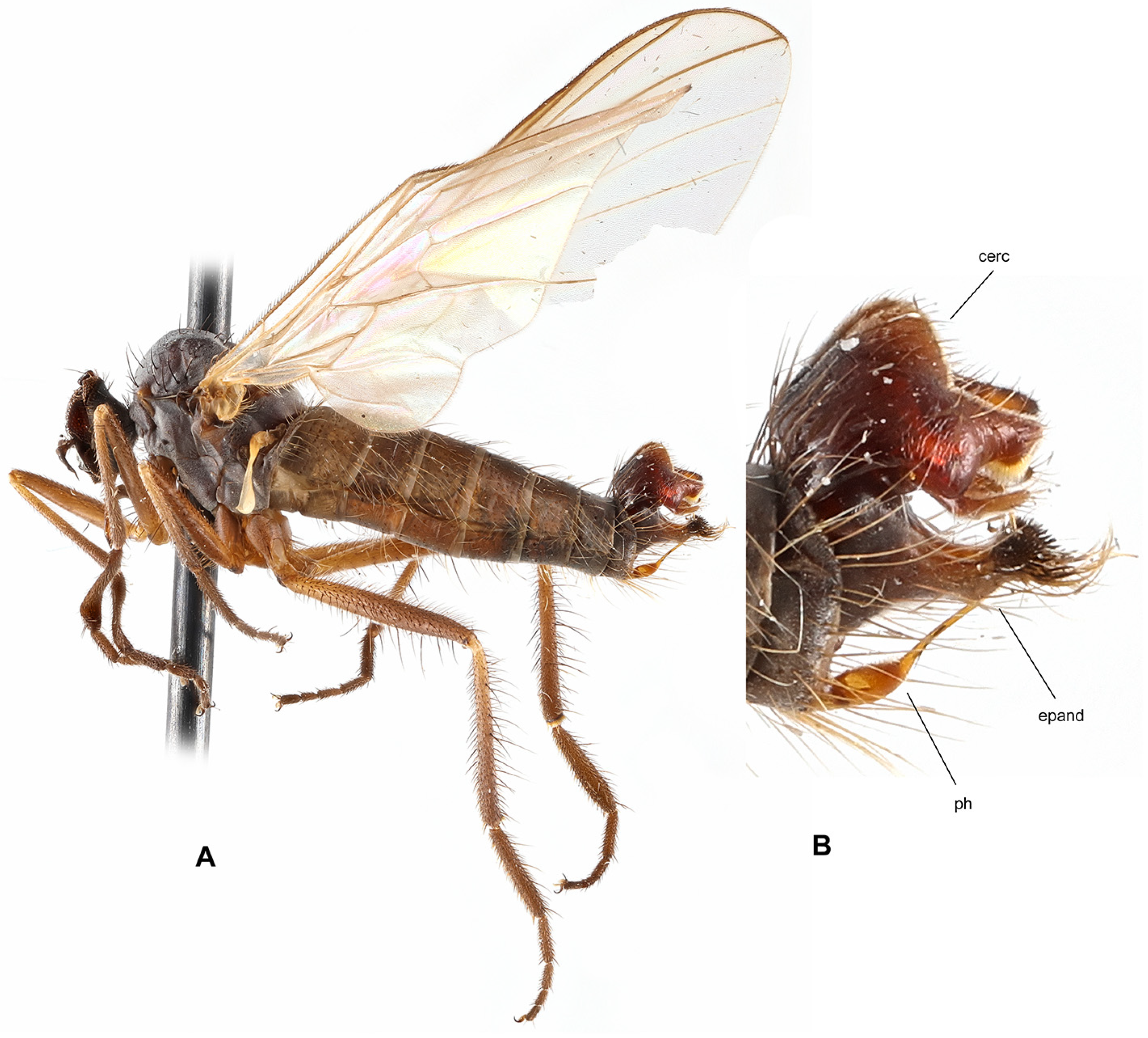 Insects 17 00363 g007