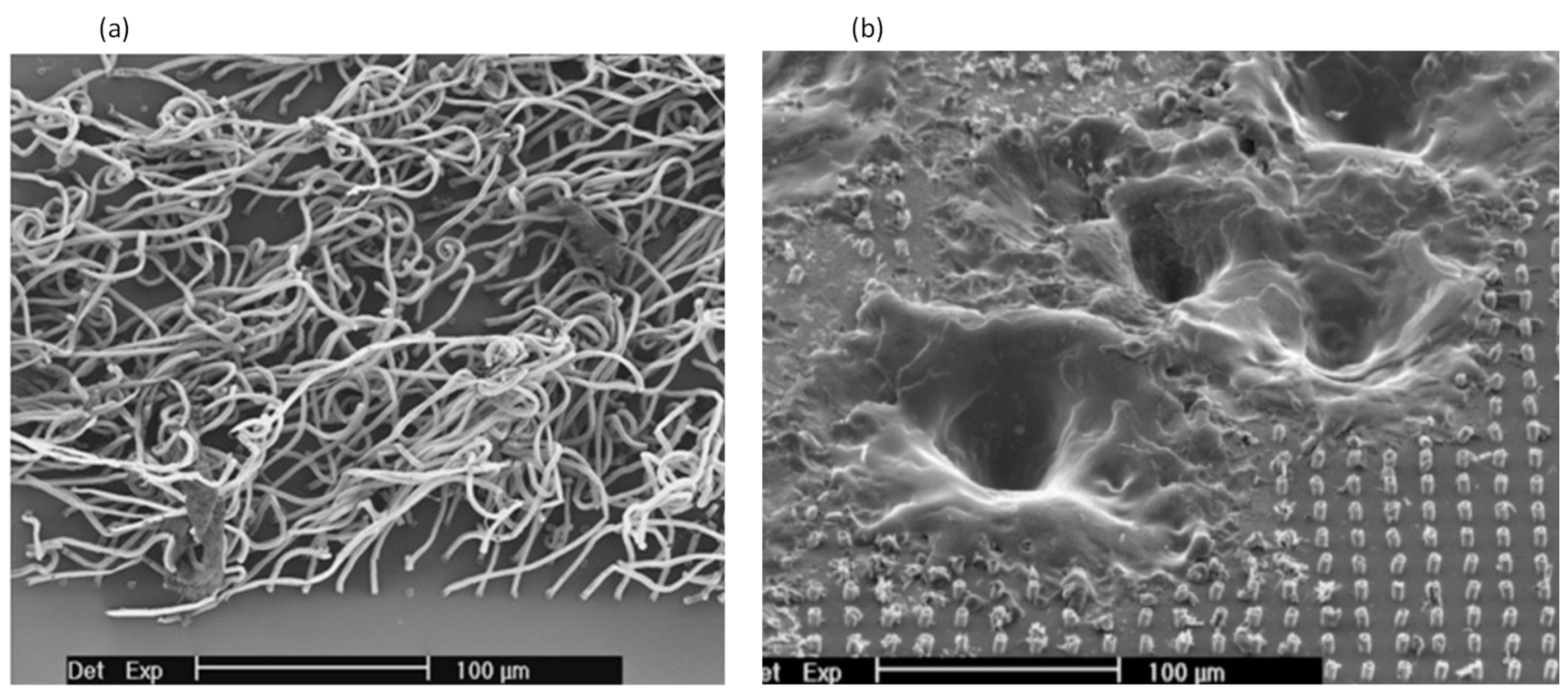 Instruments 03 00064 g009 Instruments 03 00064 g009