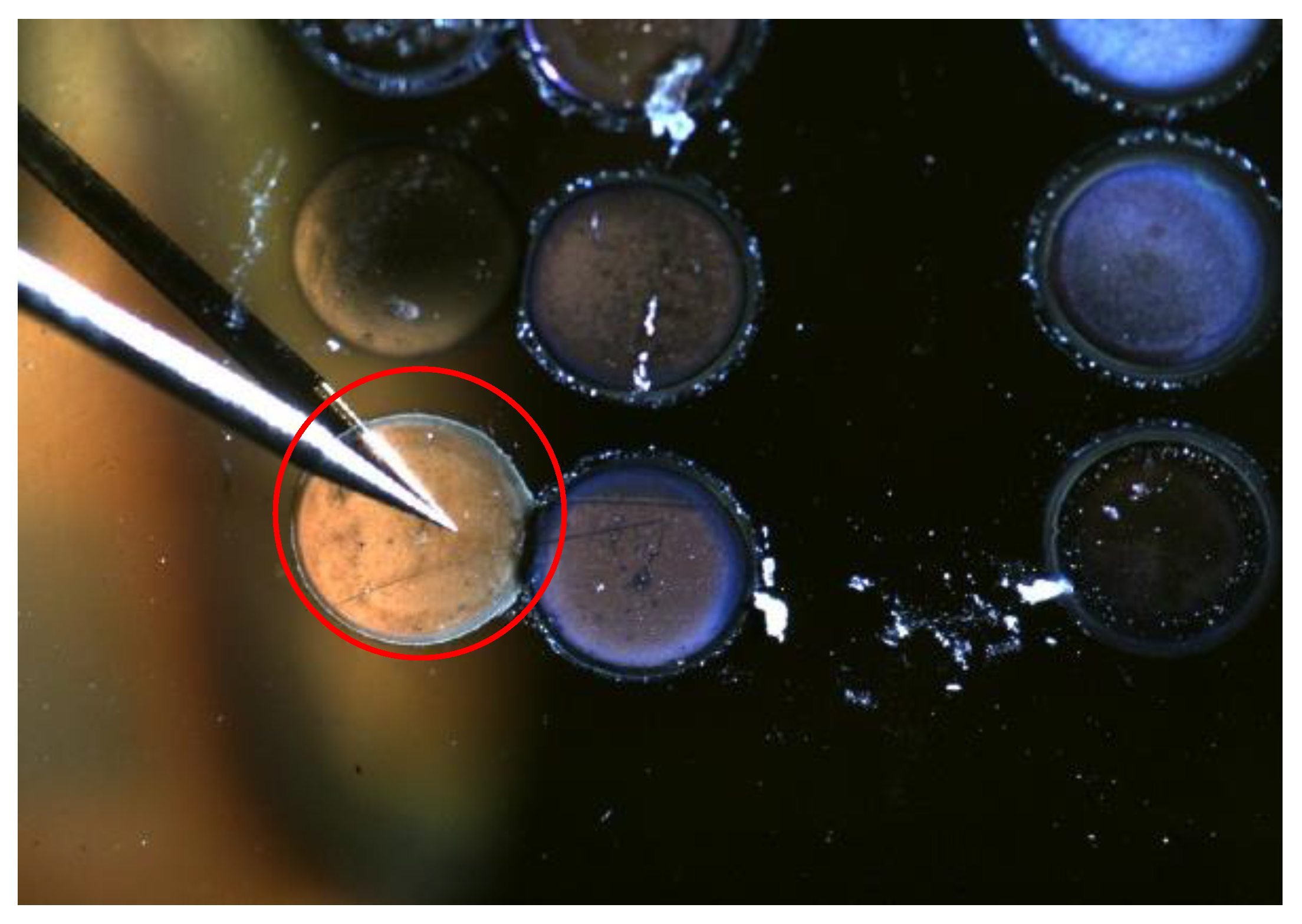 Instruments 05 00010 g003