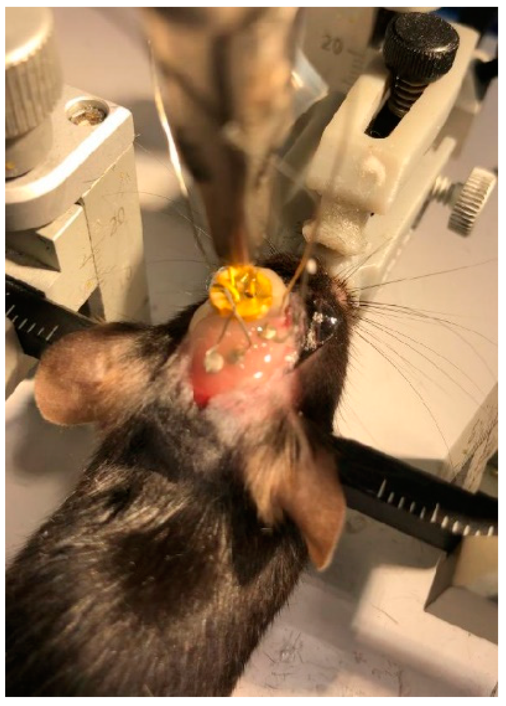 Instruments 06 00020 g003