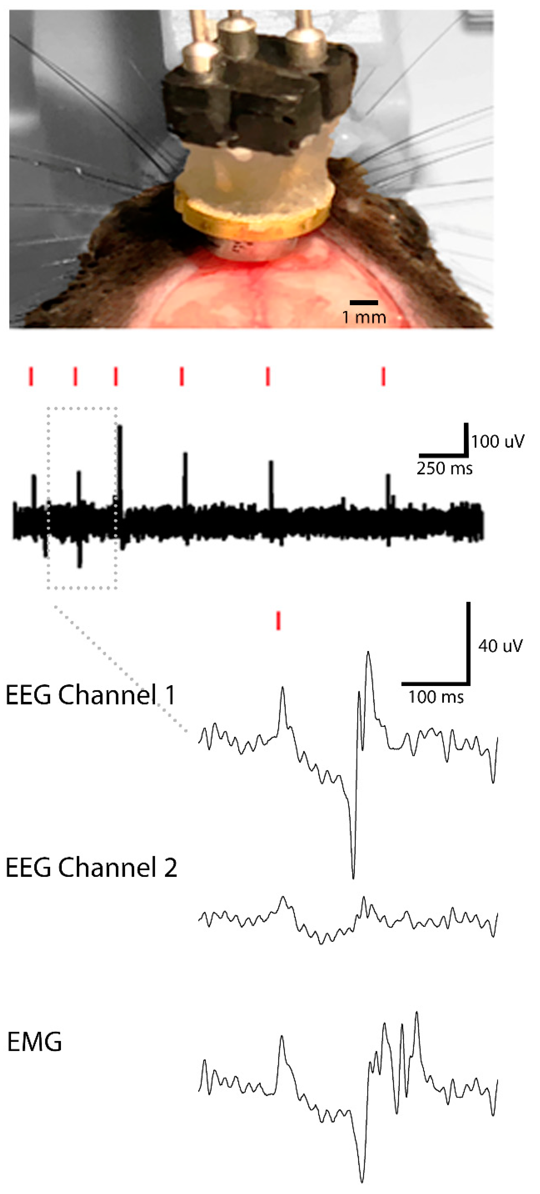 Instruments 06 00020 g004