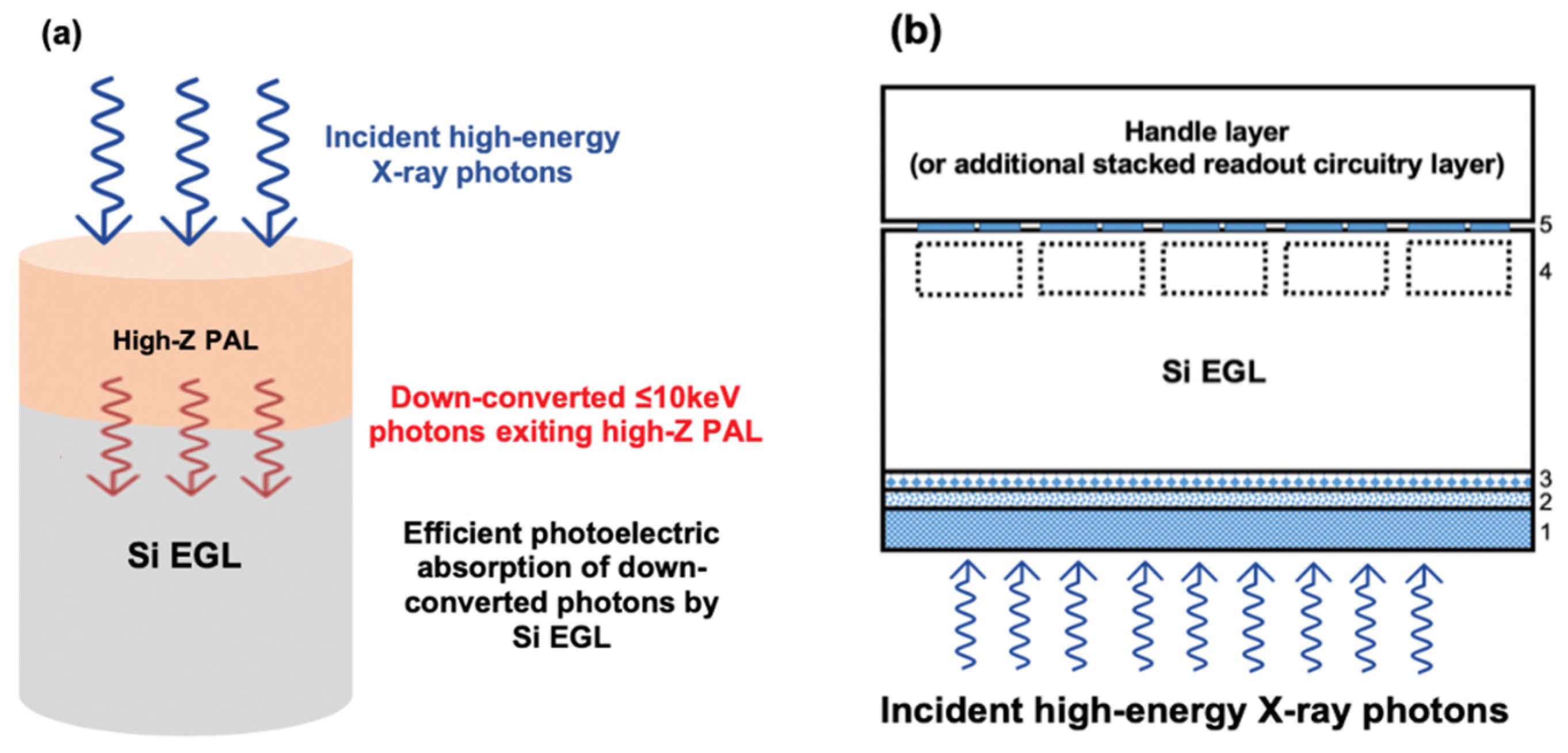 The World's Most Powerful X-ray Laser Lights Up - IEEE Spectrum