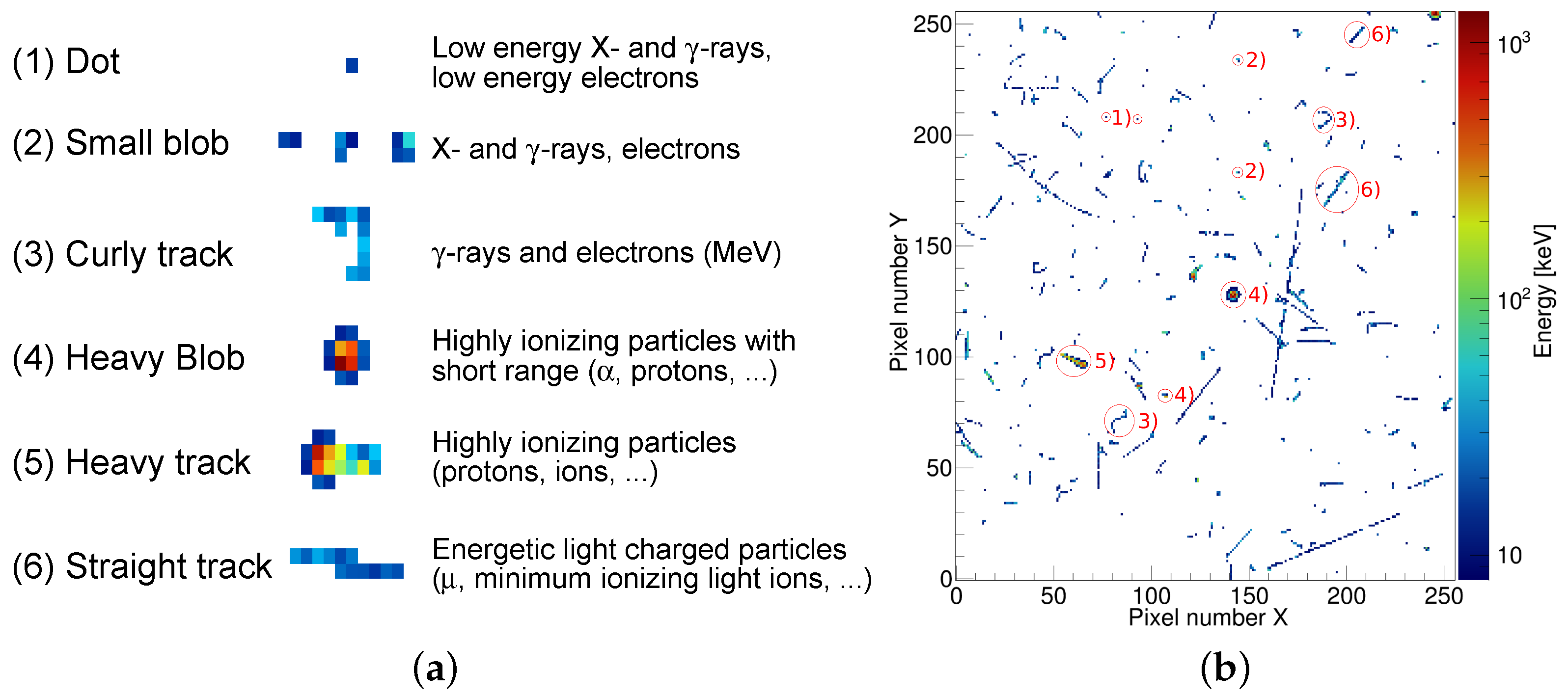 Instruments 08 00017 g002