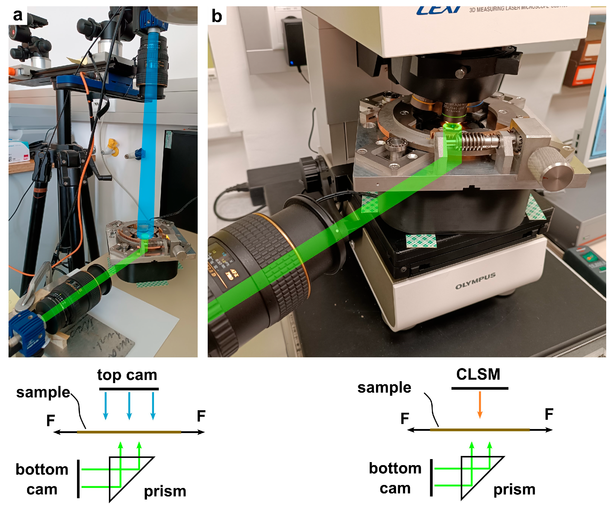 Instruments 09 00031 g003