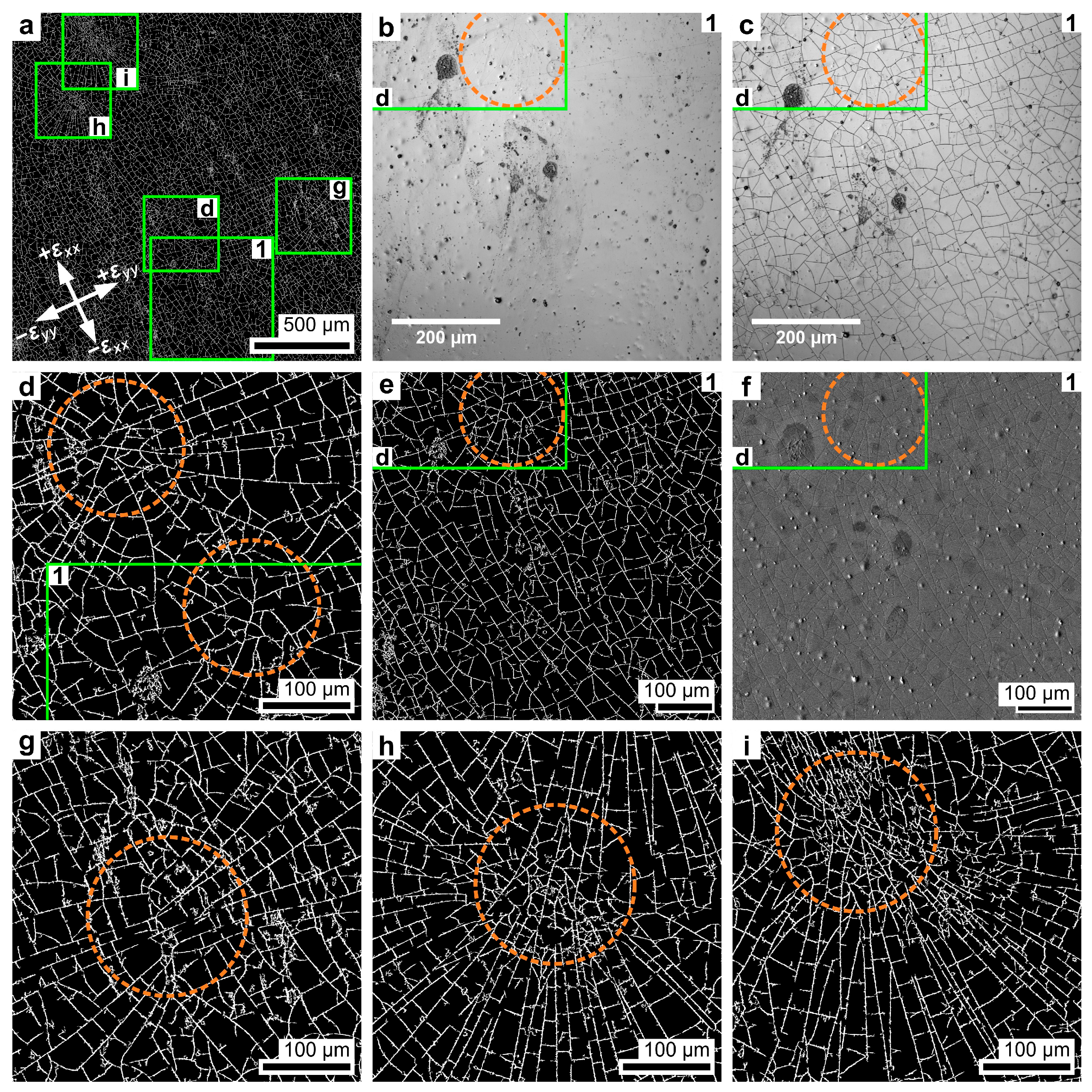 Instruments 09 00031 g009