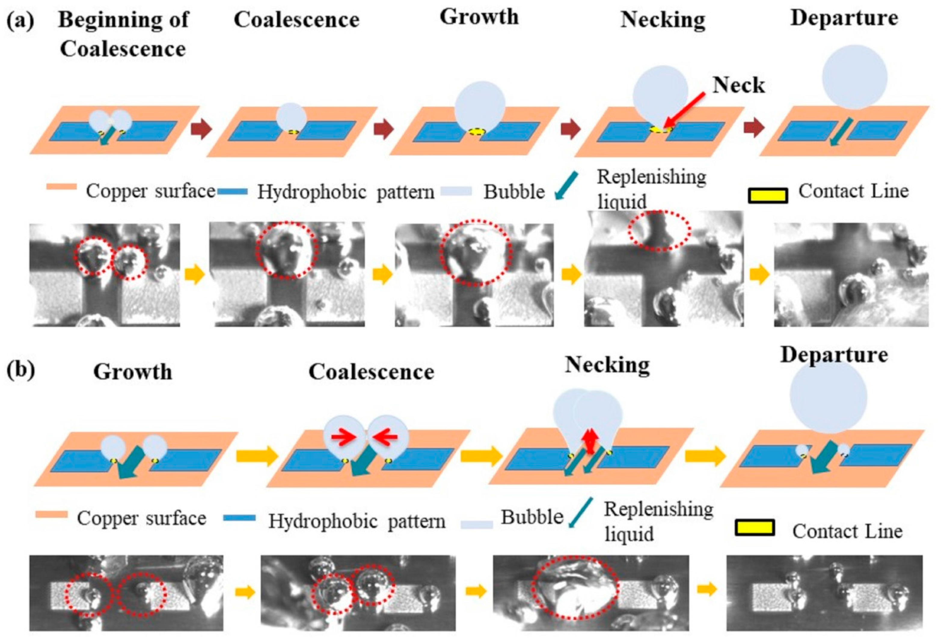Inventions 03 00015 g005