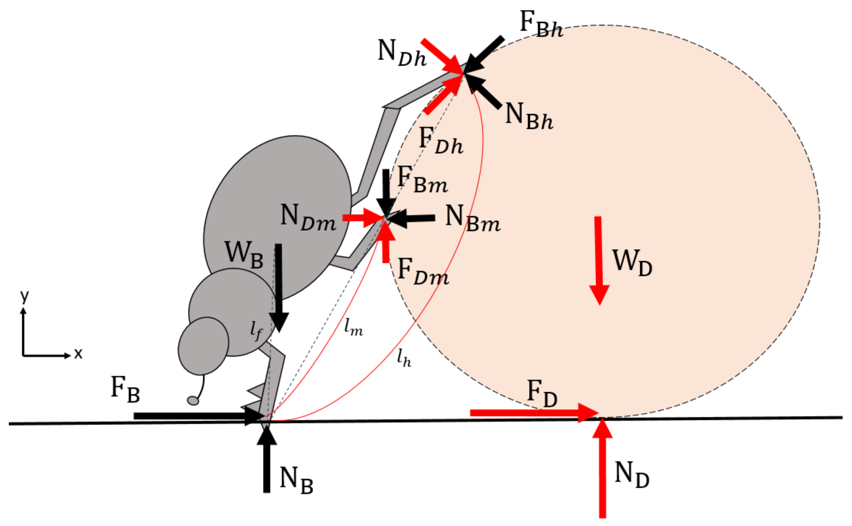 Inventions 03 00022 g003 550