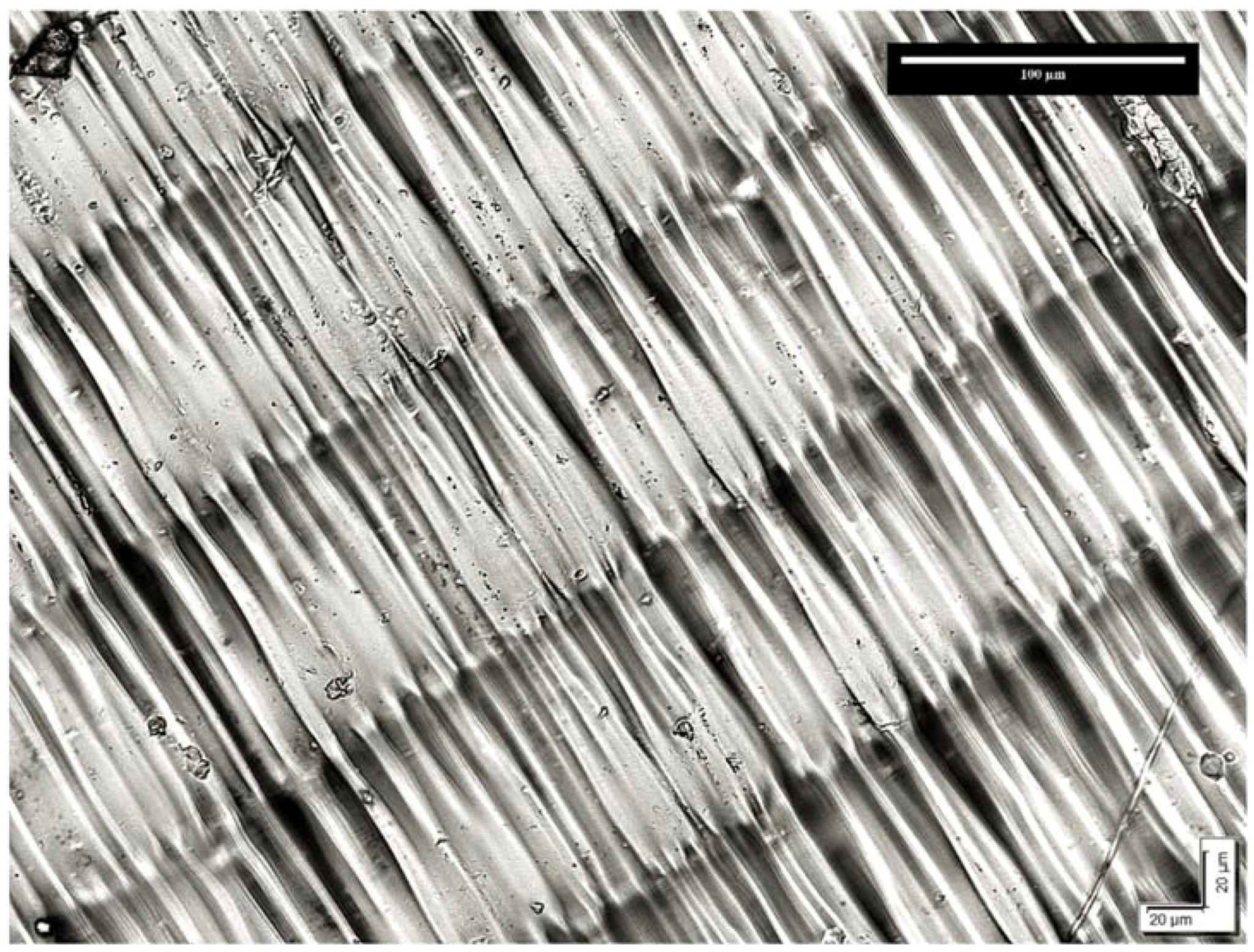 Inventions 03 00052 g001