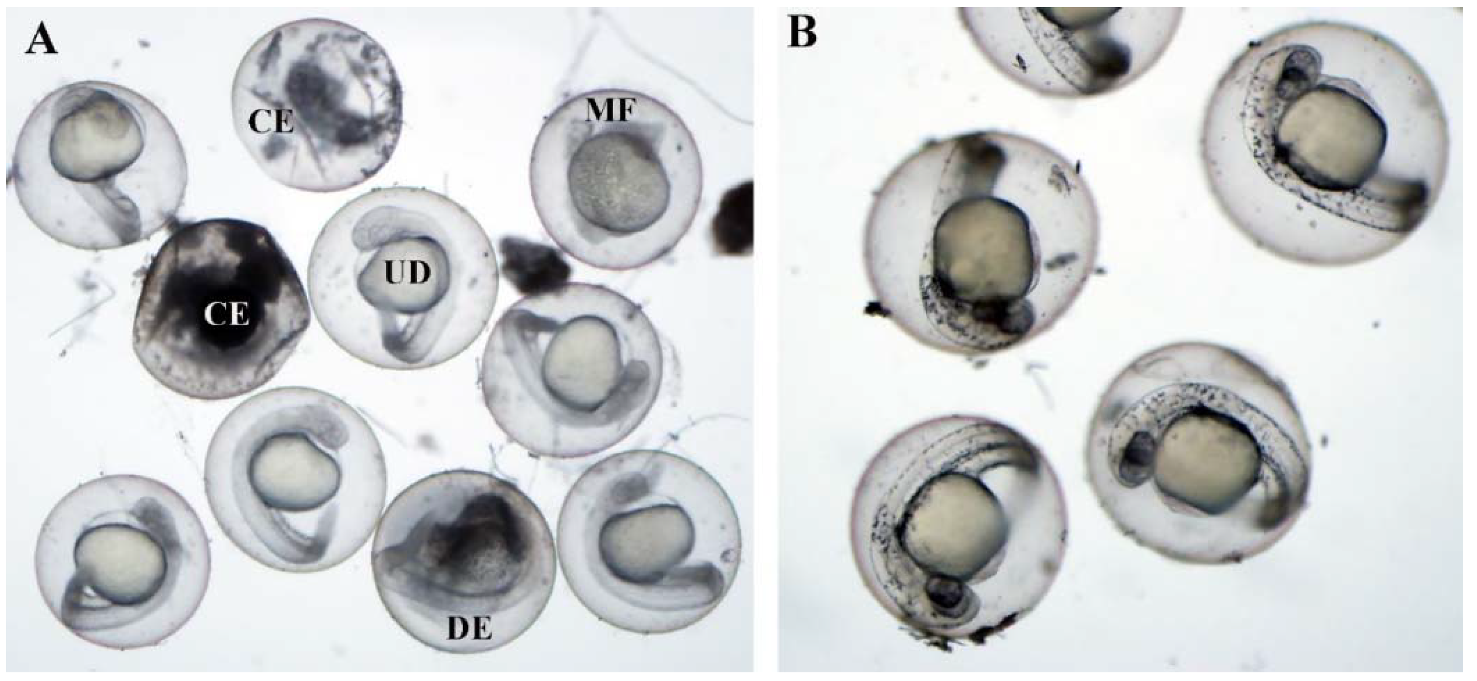 Inventions 03 00052 g002