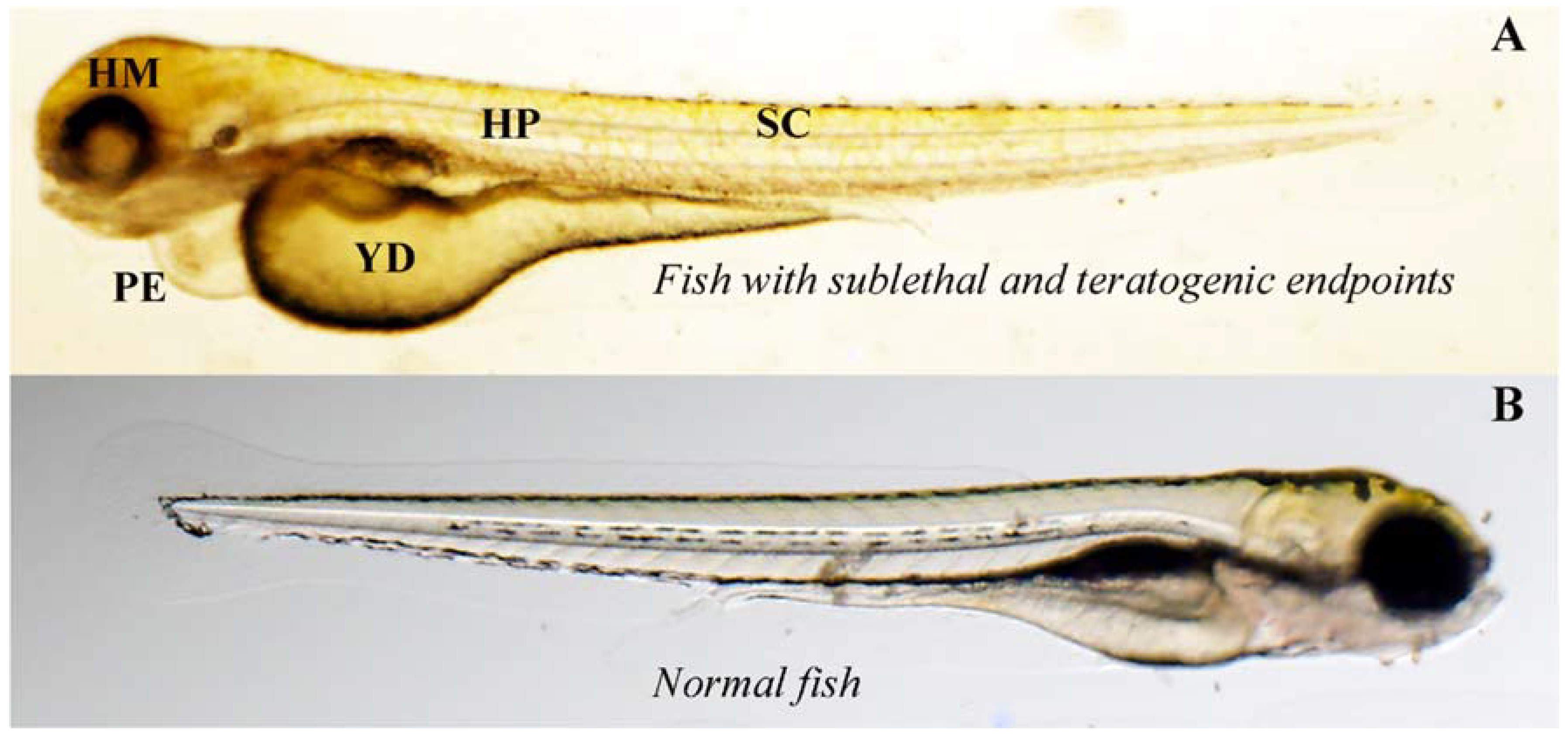 Inventions 03 00052 g003