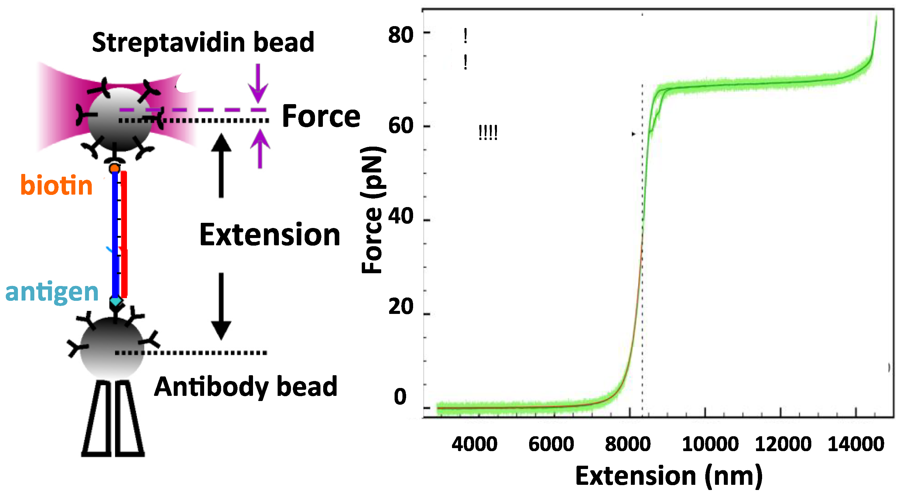 Inventions 04 00024 g001