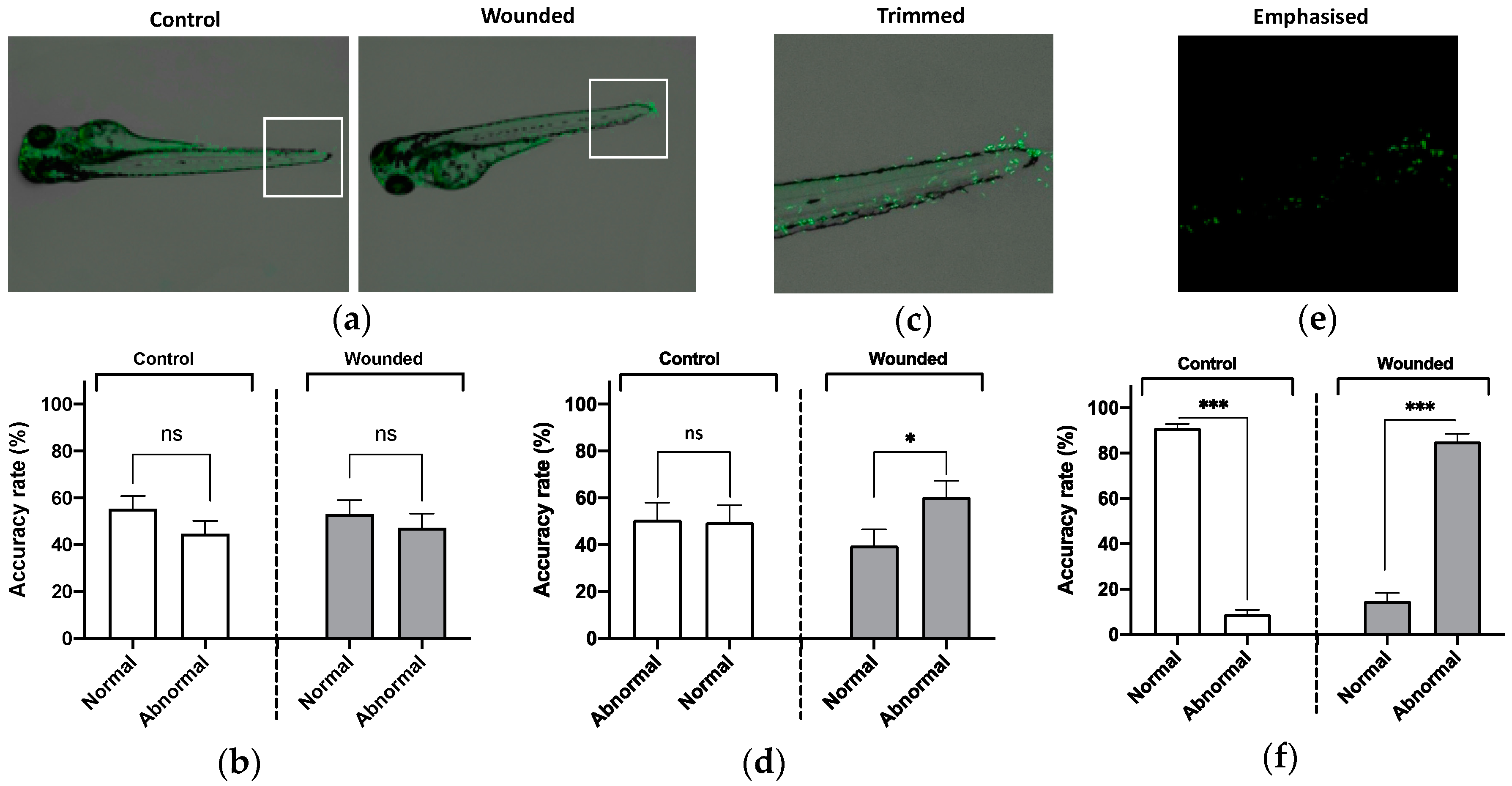 Inventions 04 00072 g002