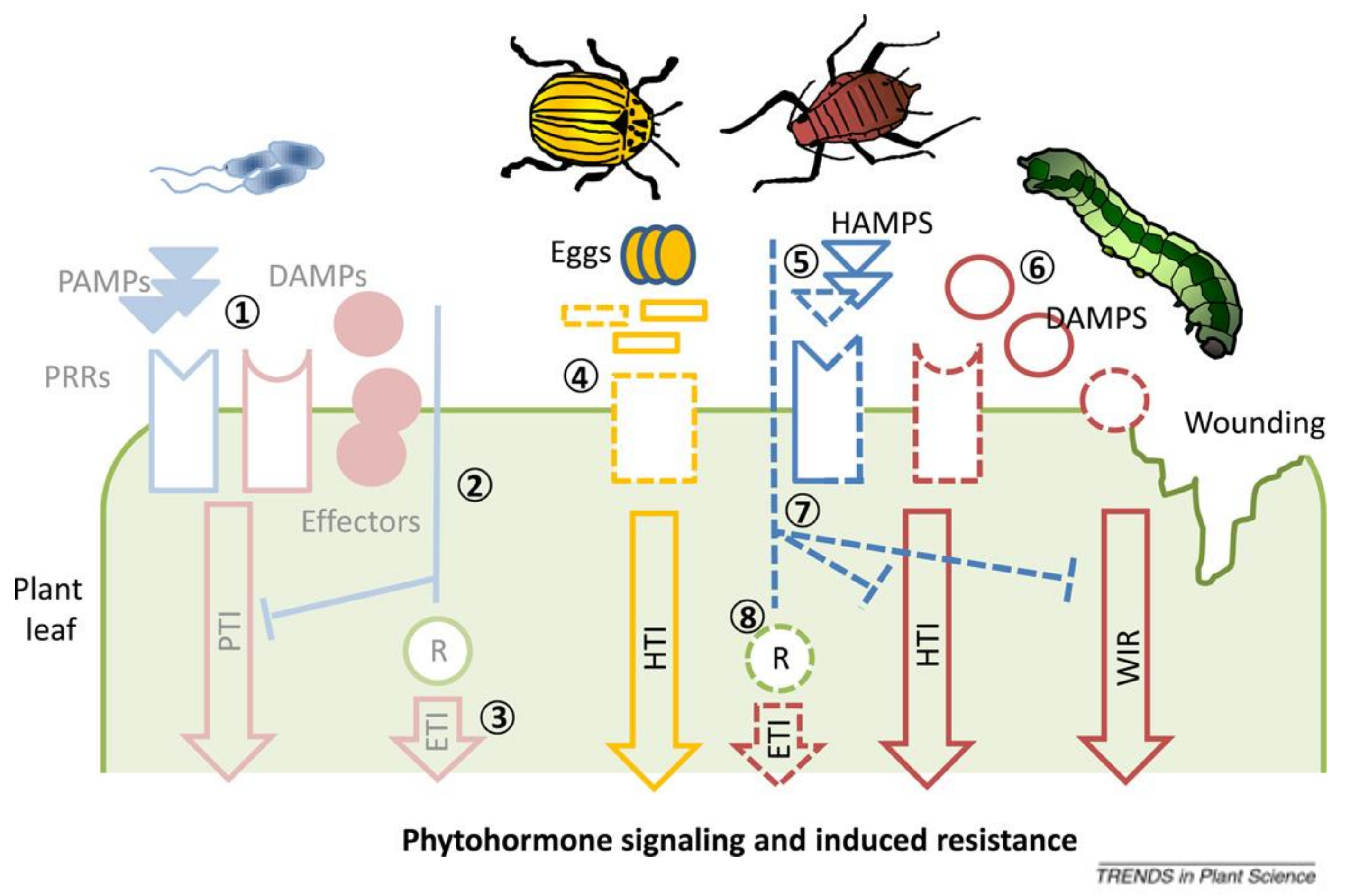 Inventions 06 00029 g002 Inventions 06 00029 g002