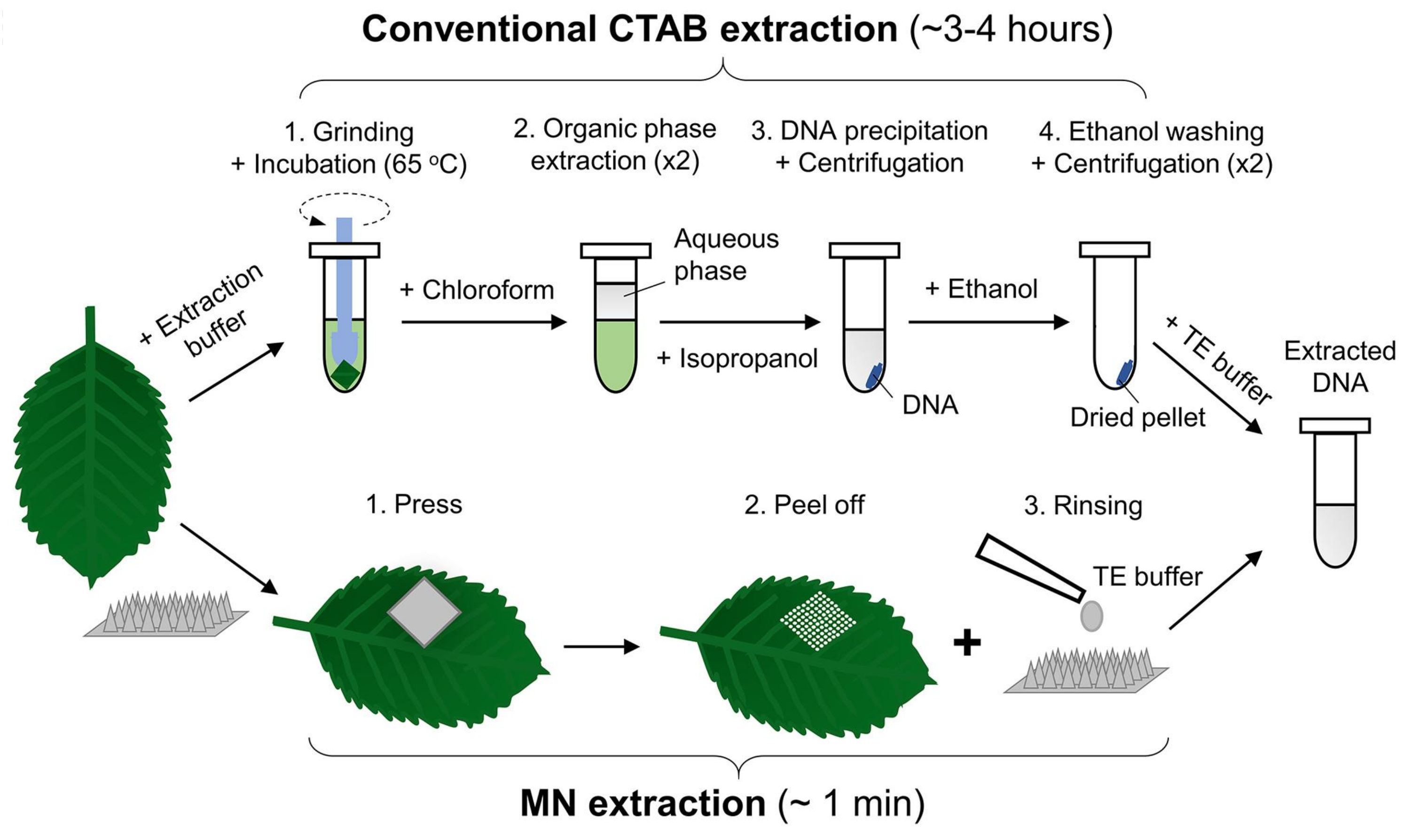 Inventions 06 00029 g004 Inventions 06 00029 g004
