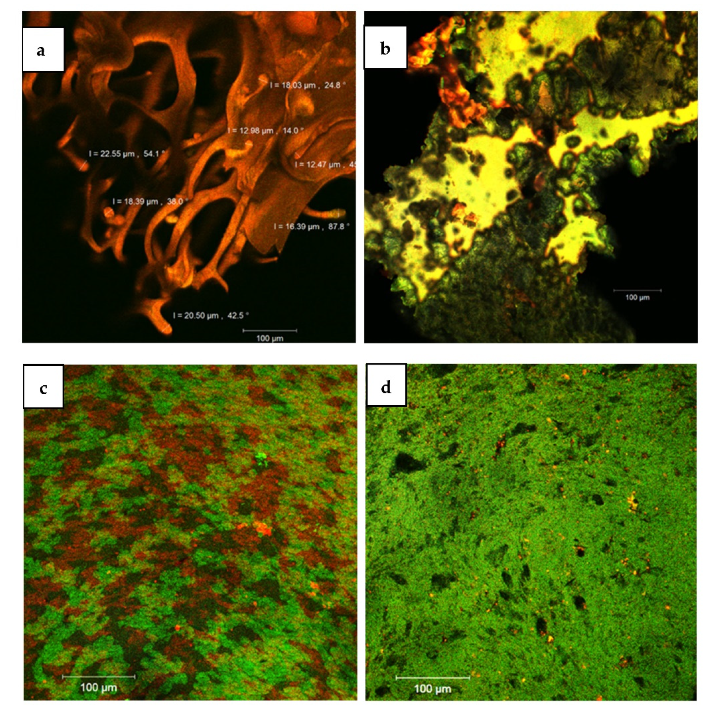 Inventions 06 00047 g004 550