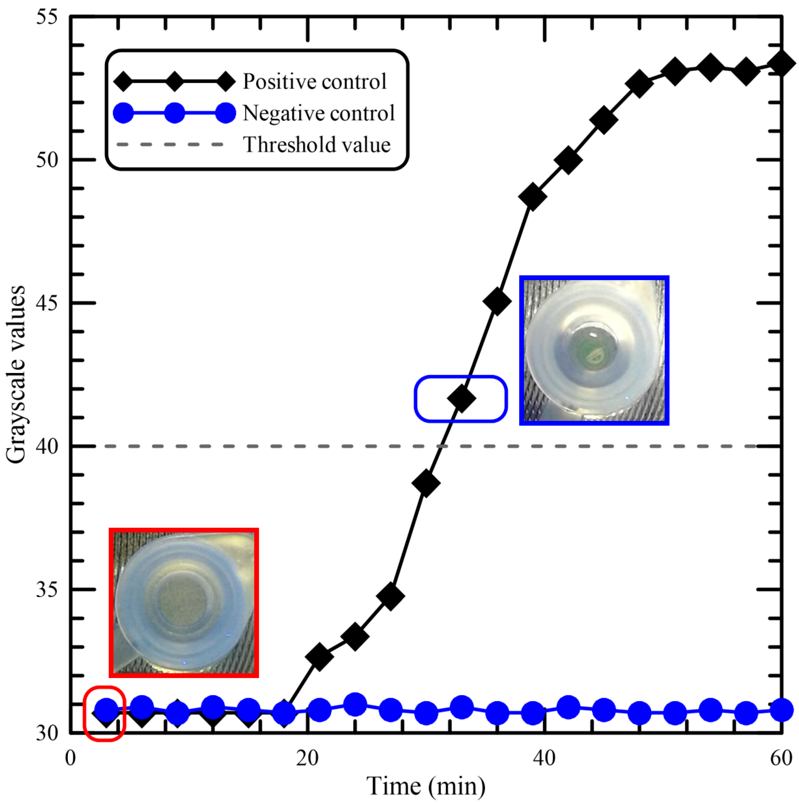 Inventions 06 00051 g005 550