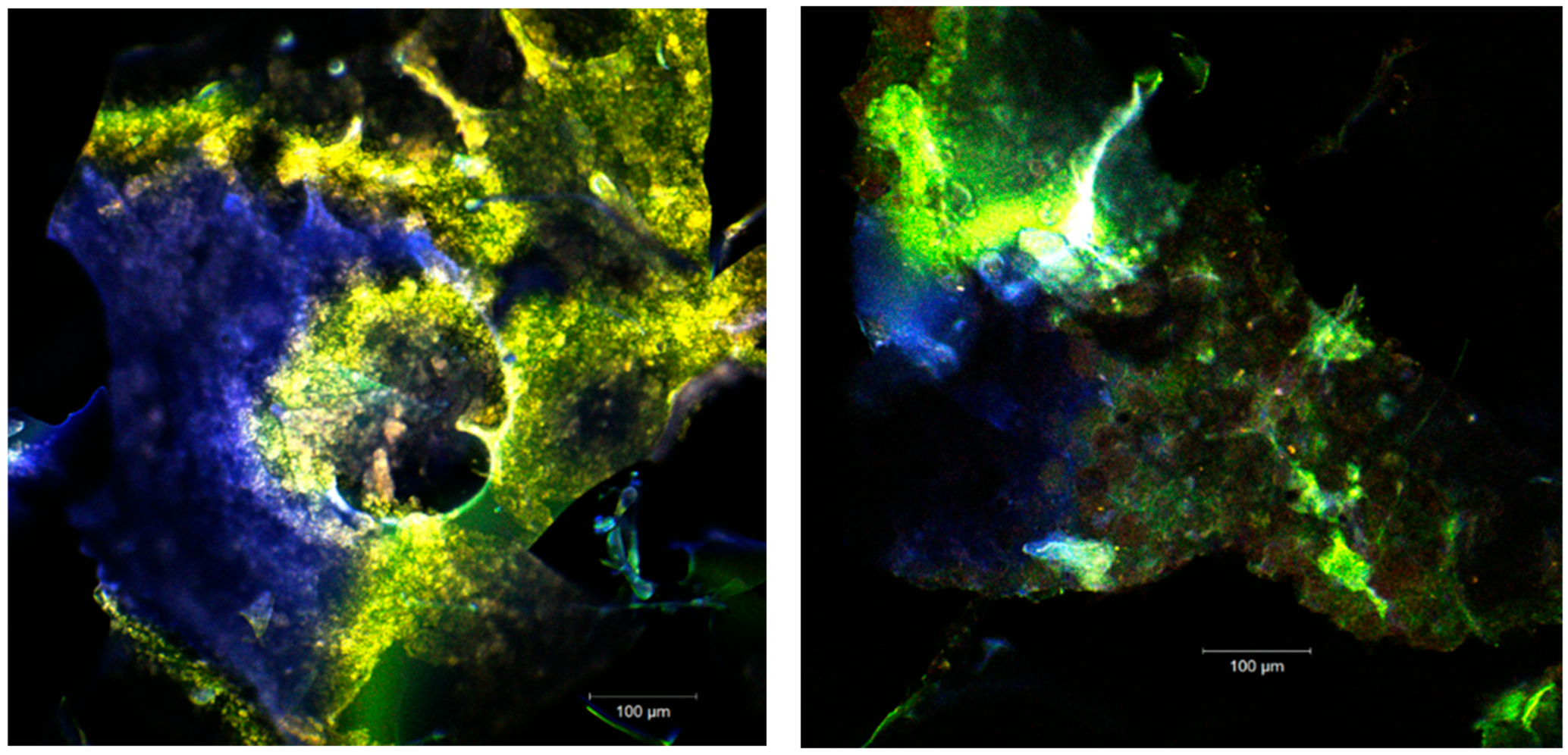 Inventions 06 00059 g003