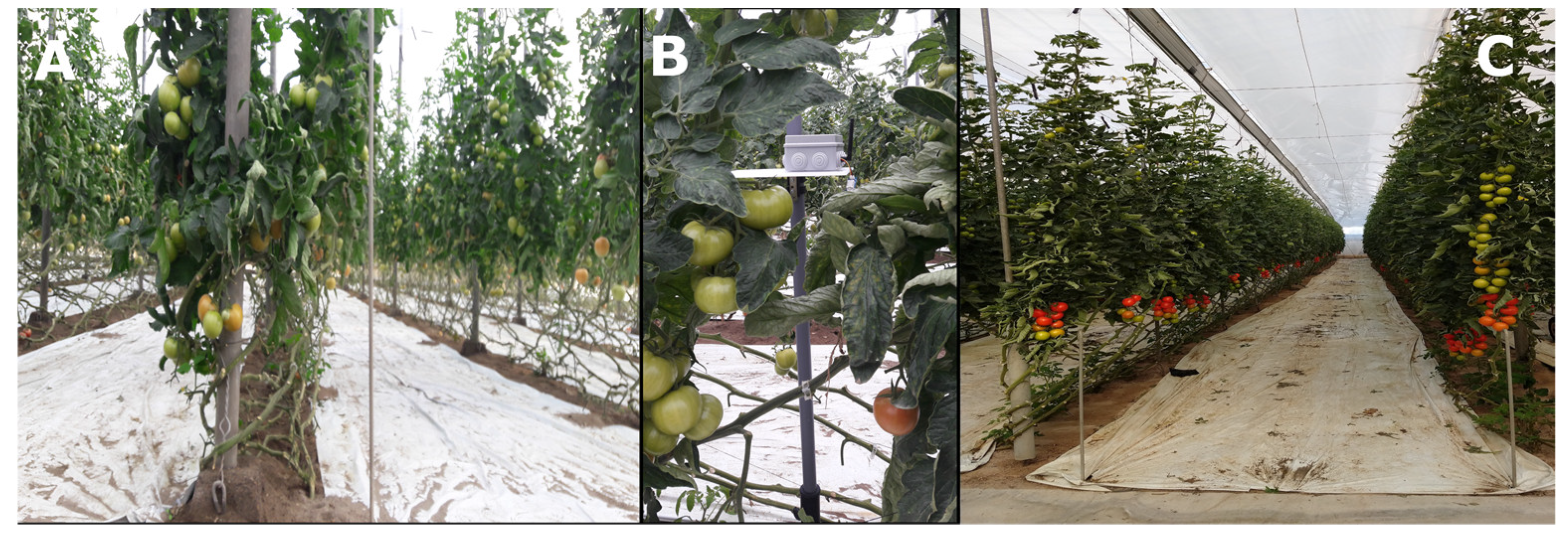 Inventions 06 00066 g003