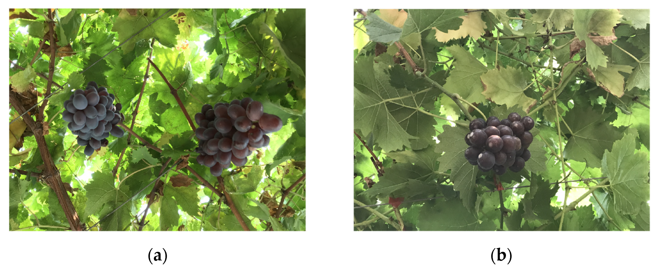 Inventions 07 00027 g001 550