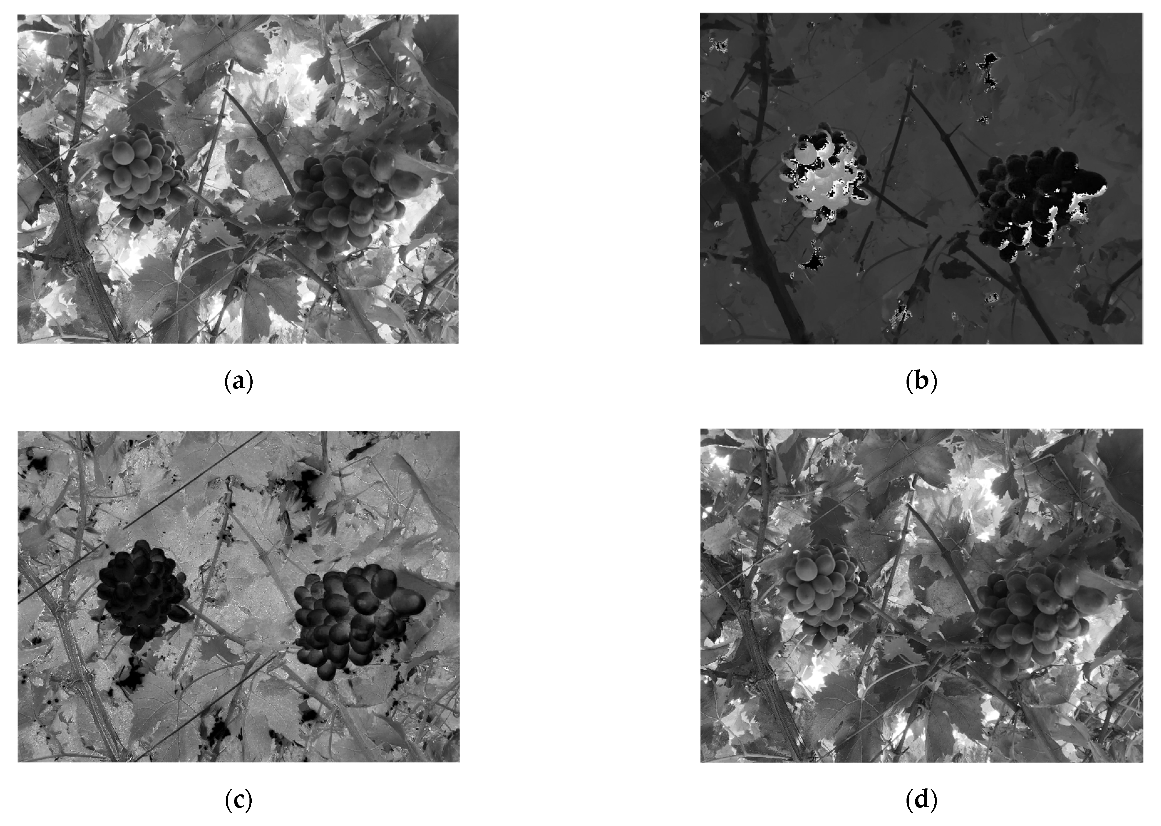 Inventions 07 00027 g003a 550