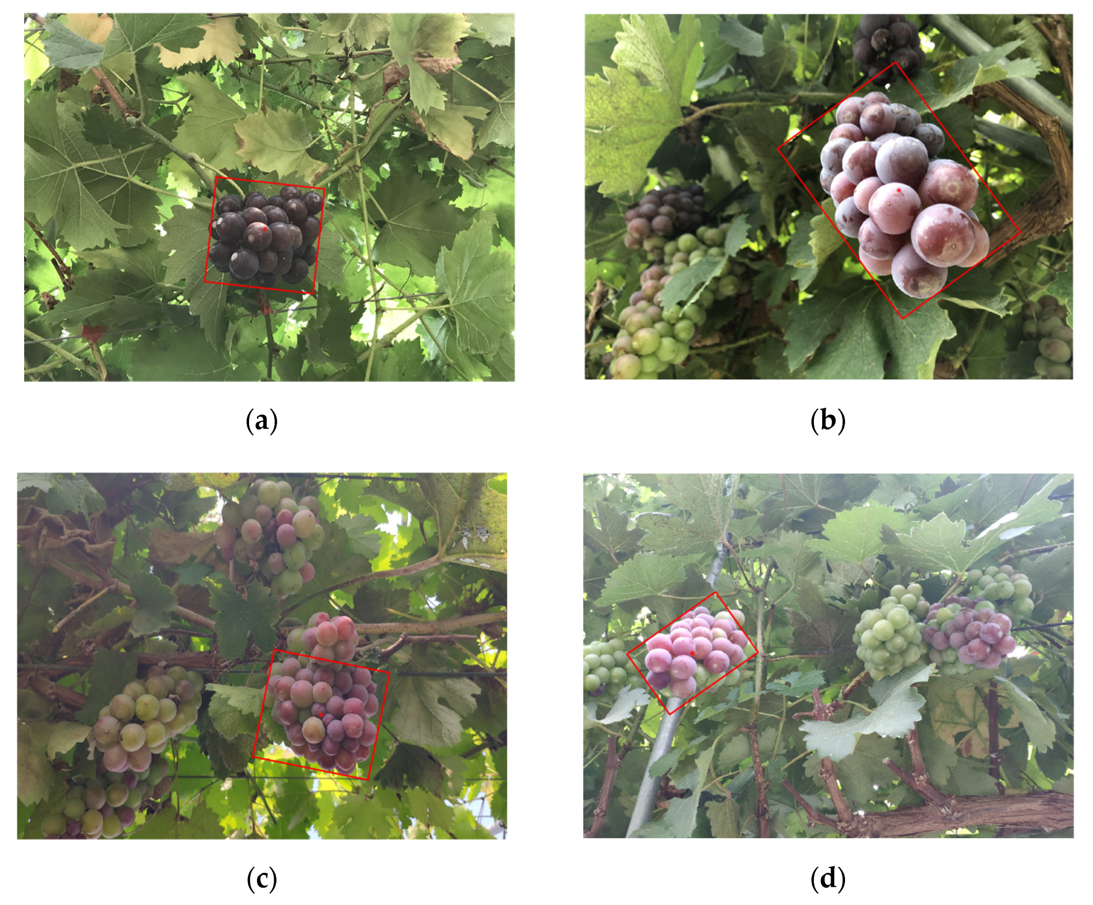 Inventions 07 00027 g005 550