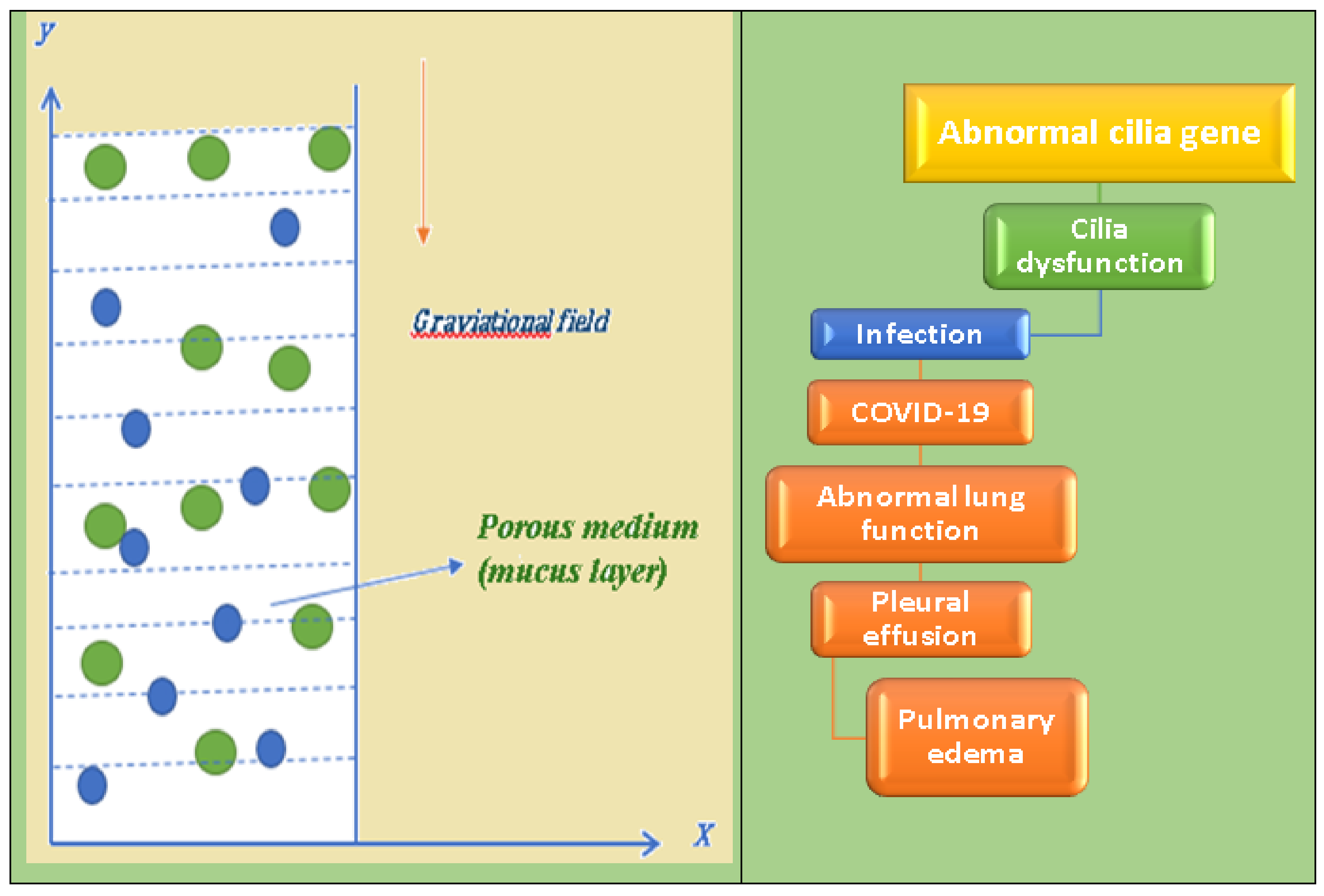 Inventions 07 00050 g001 550