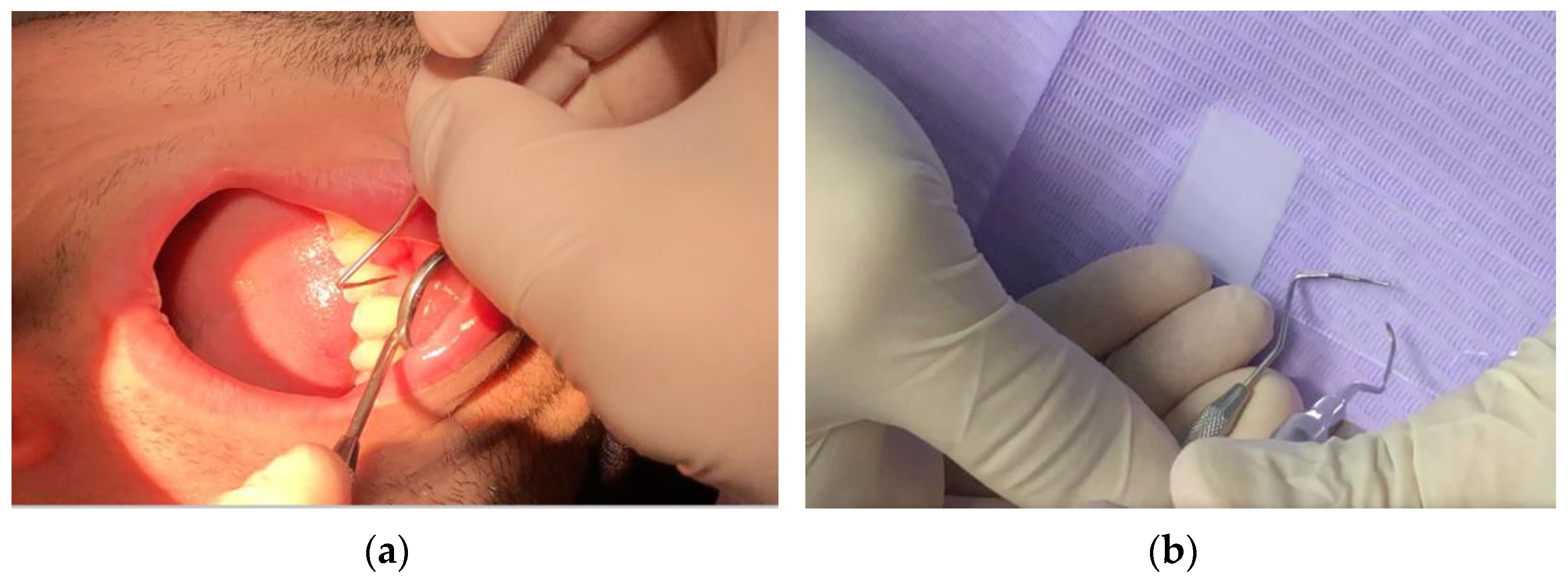 Inventions 07 00104 g001