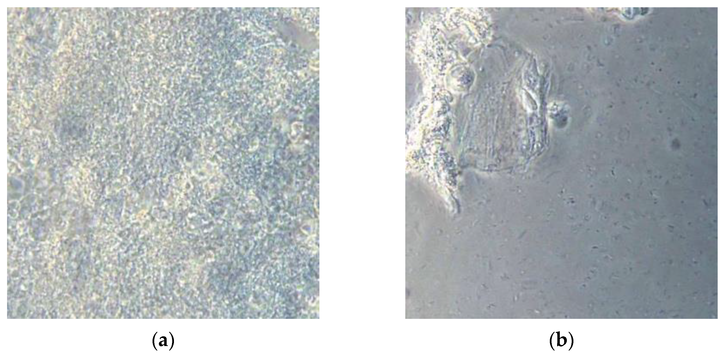 Inventions 07 00104 g003