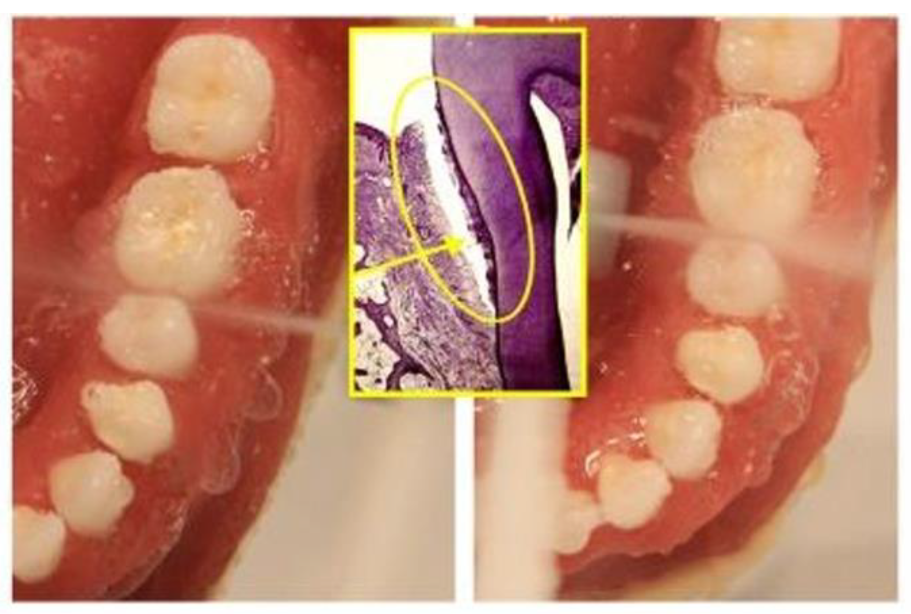 Inventions 07 00104 g007