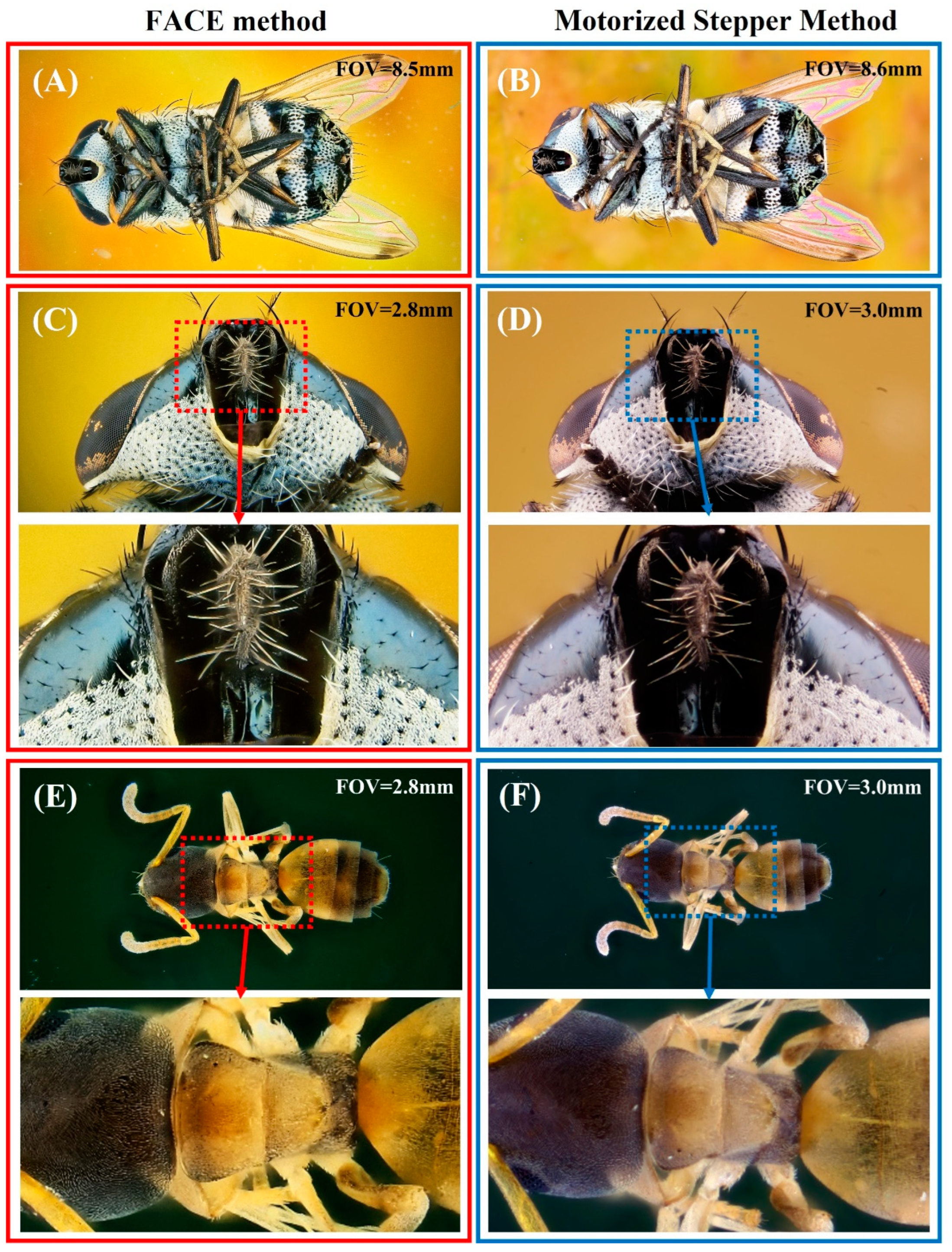 Inventions 07 00110 g004a Inventions 07 00110 g004a