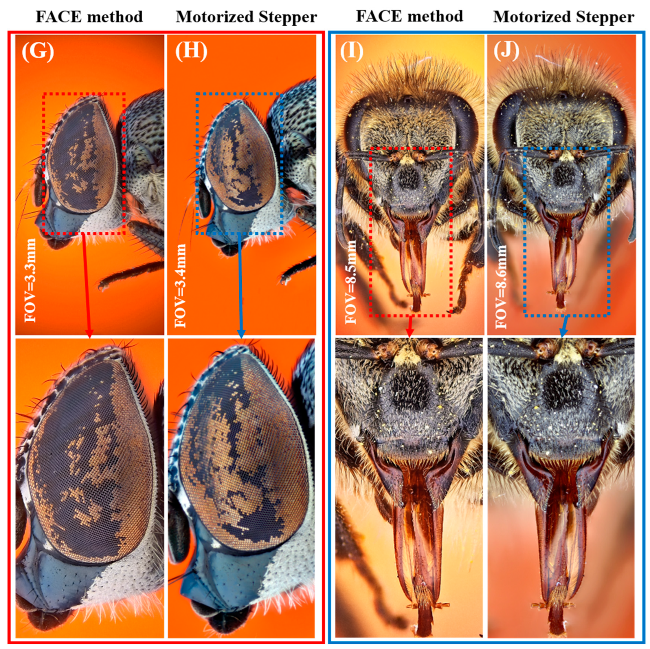 Inventions 07 00110 g004b Inventions 07 00110 g004b