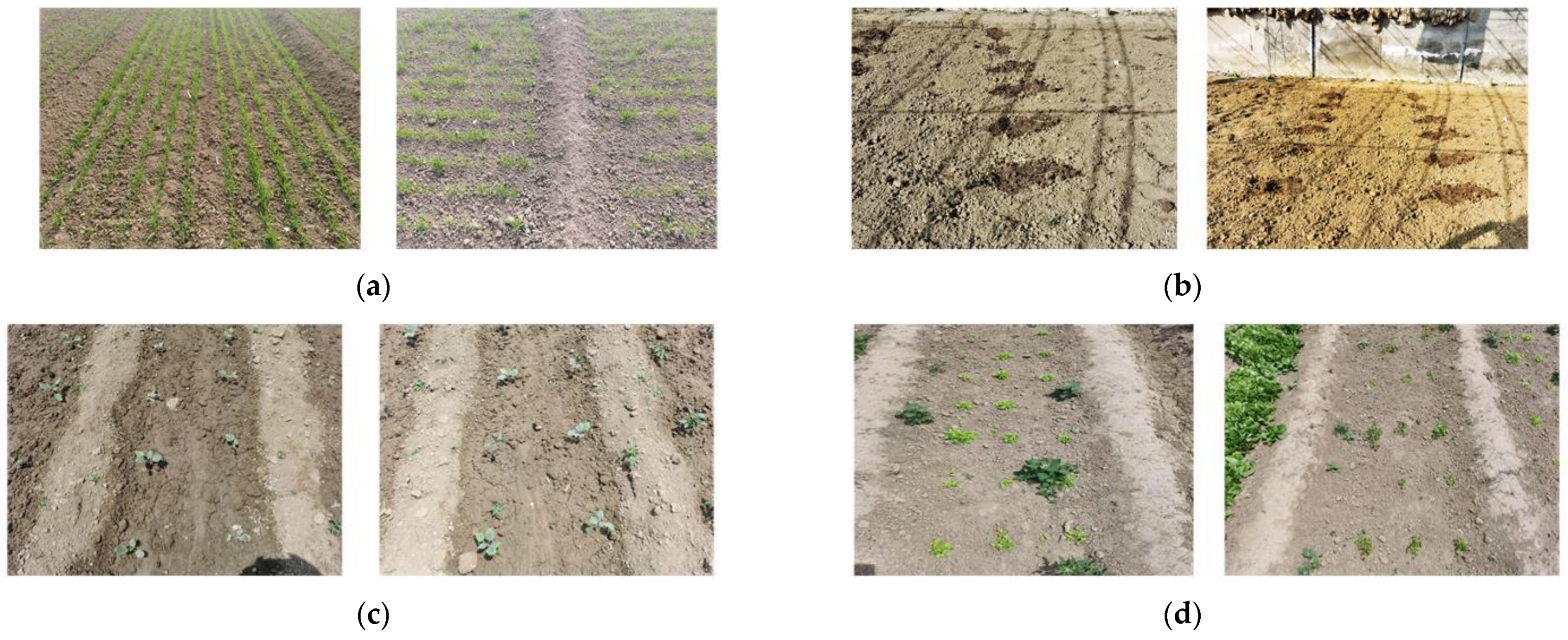 Inventions 07 00113 g002