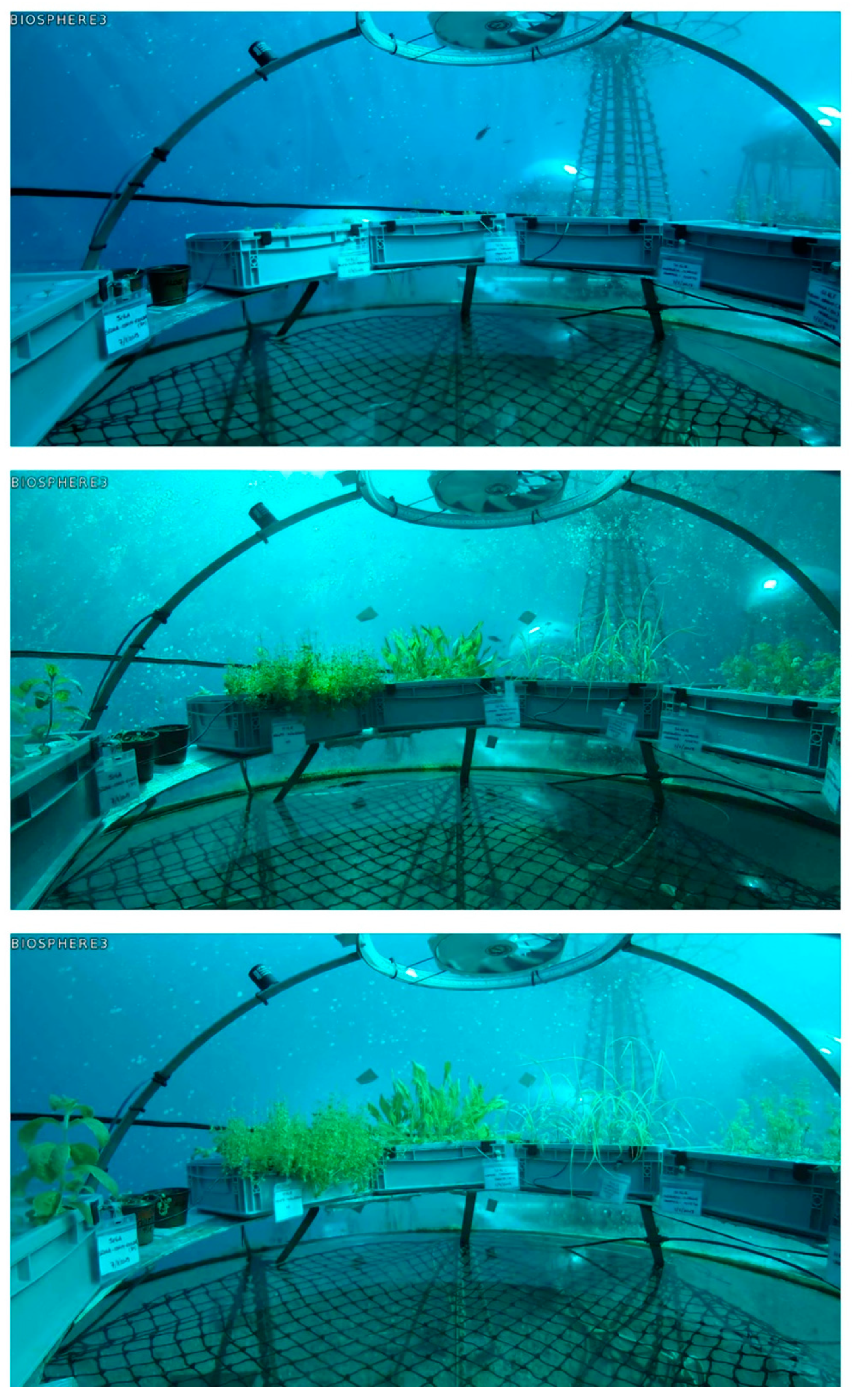 Inventions 07 00118 g003