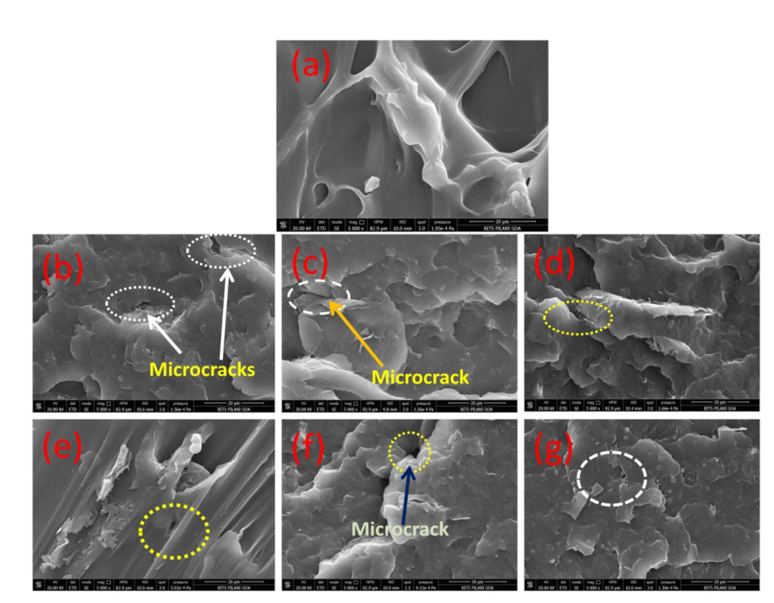 Polypropylene and Graphene Nanocomposites: Effects of Selected 2D ...