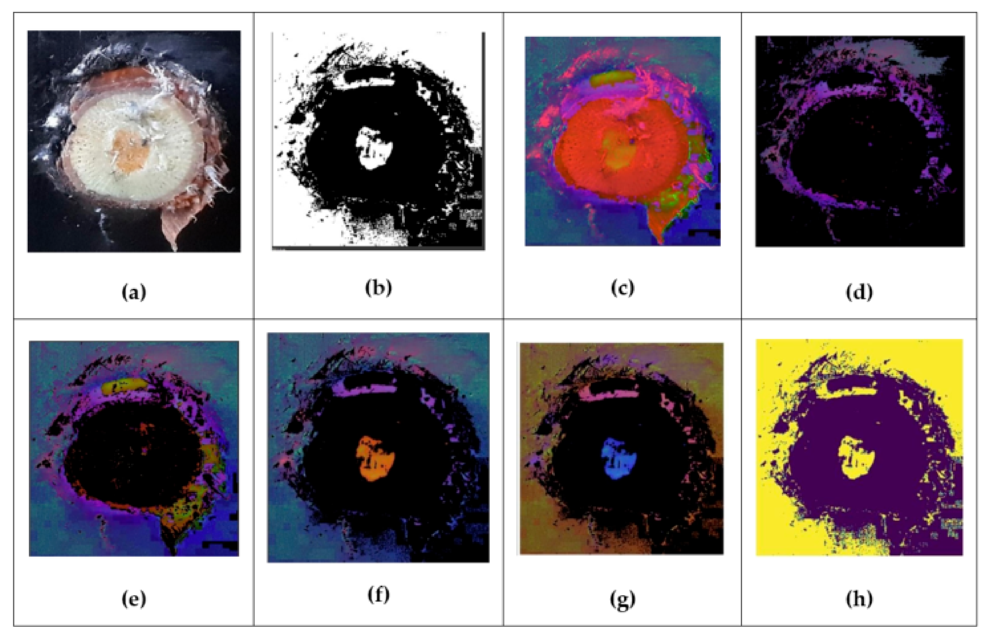 Inventions 08 00092 g002