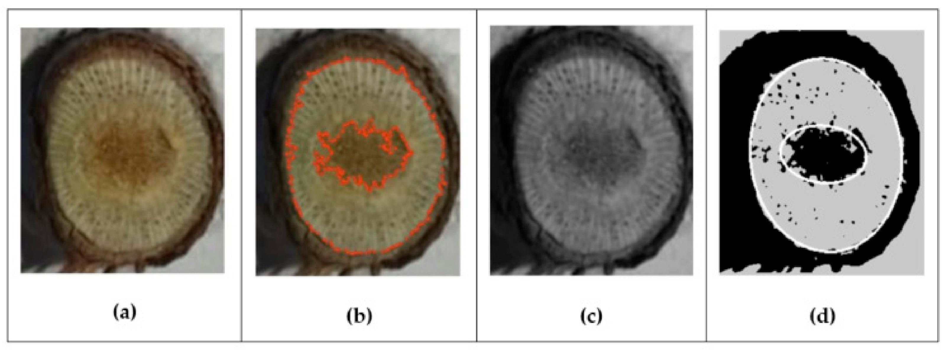 Inventions 08 00092 g009