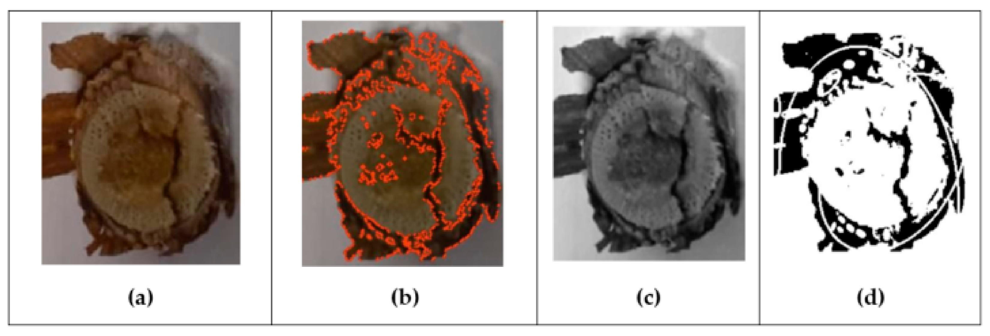 Inventions 08 00092 g010