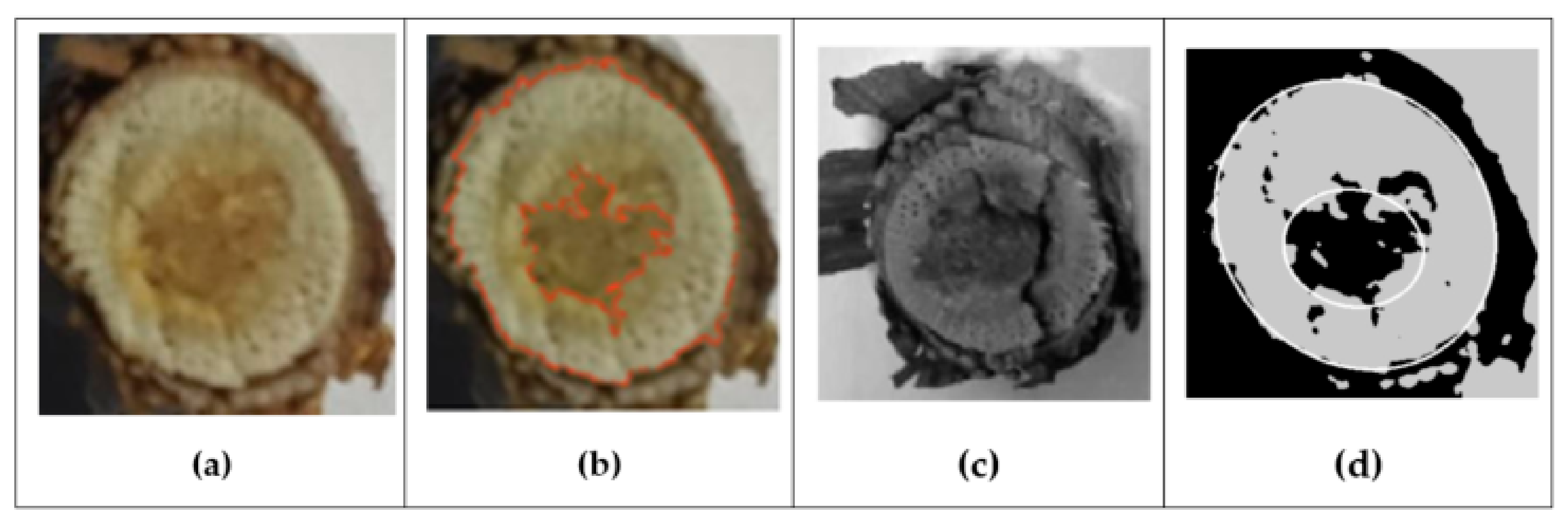 Inventions 08 00092 g011