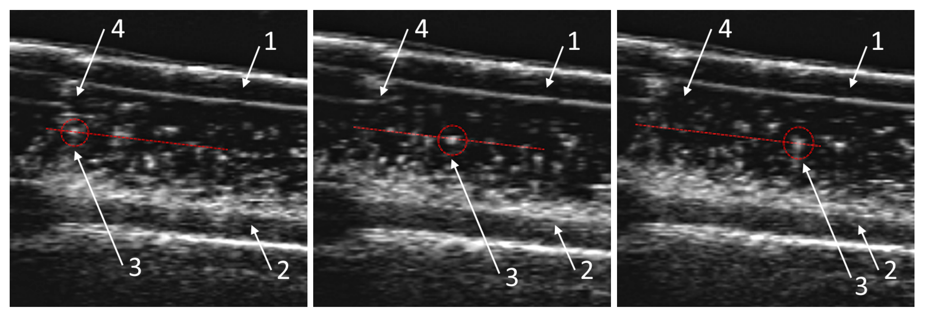 Inventions 08 00124 g002