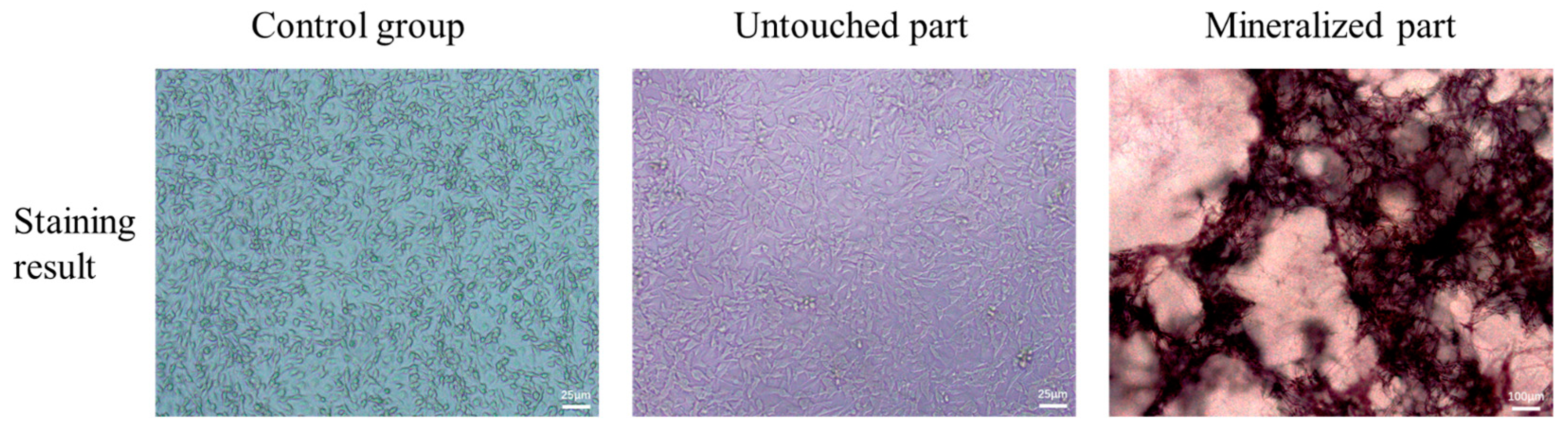 Inventions 08 00138 g012