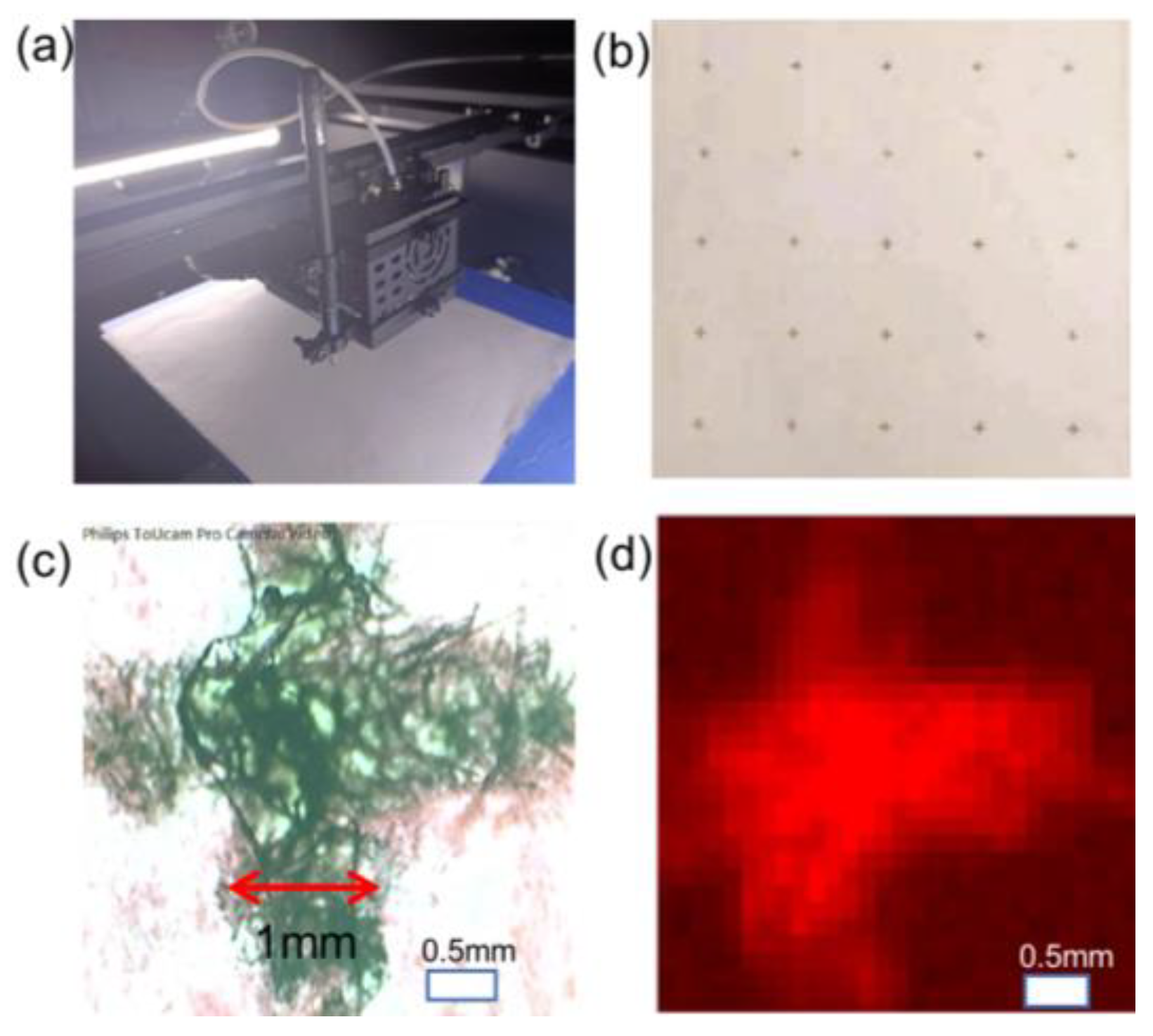 Inventions 08 00156 g006