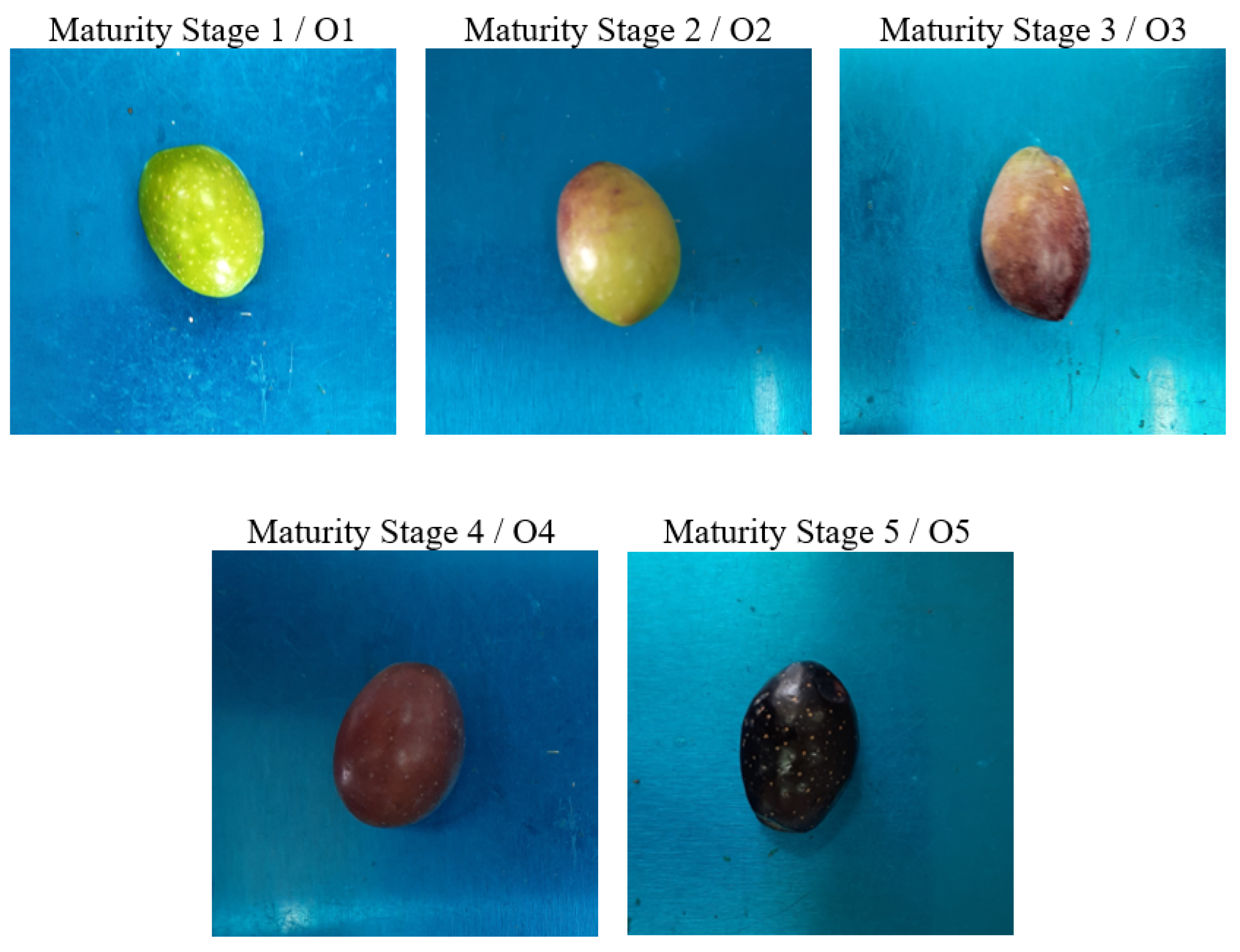 Inventions 09 00006 g001